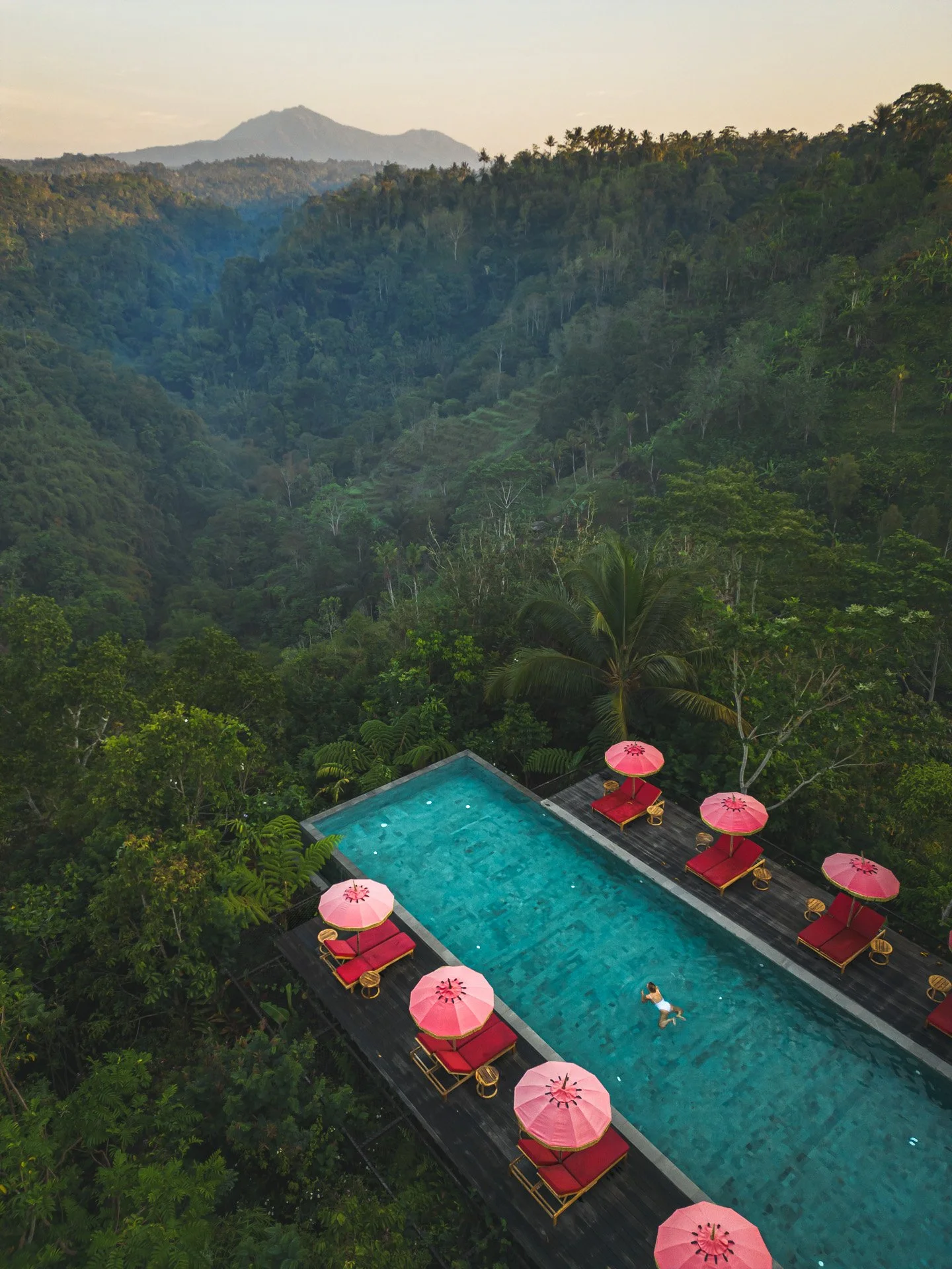 Bali - Banyan Tree Joe Kelly @alifeiimagined-DJI_0189.jpg