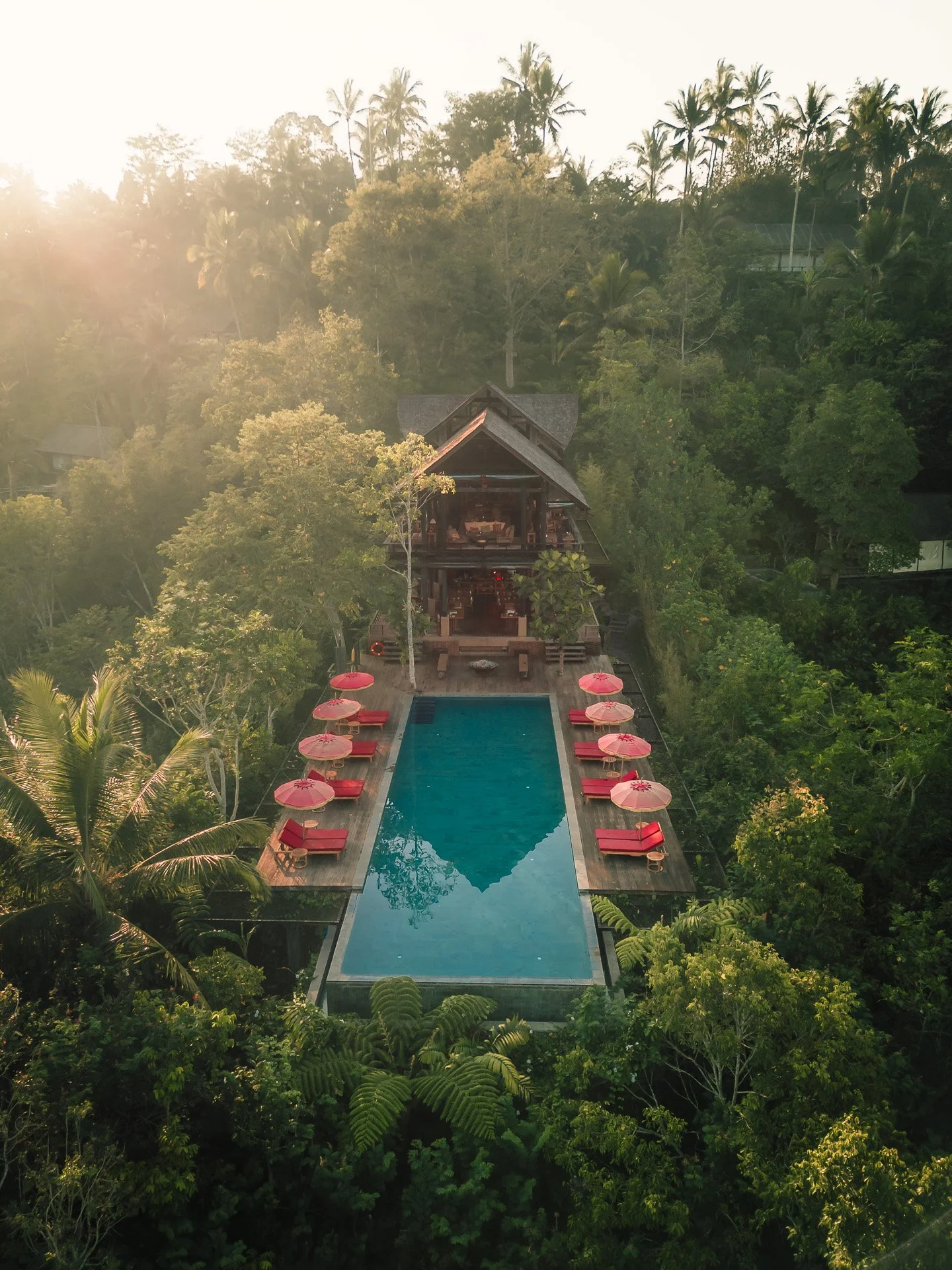 Bali - Banyan Tree Joe Kelly @alifeiimagined-DJI_0139.jpg