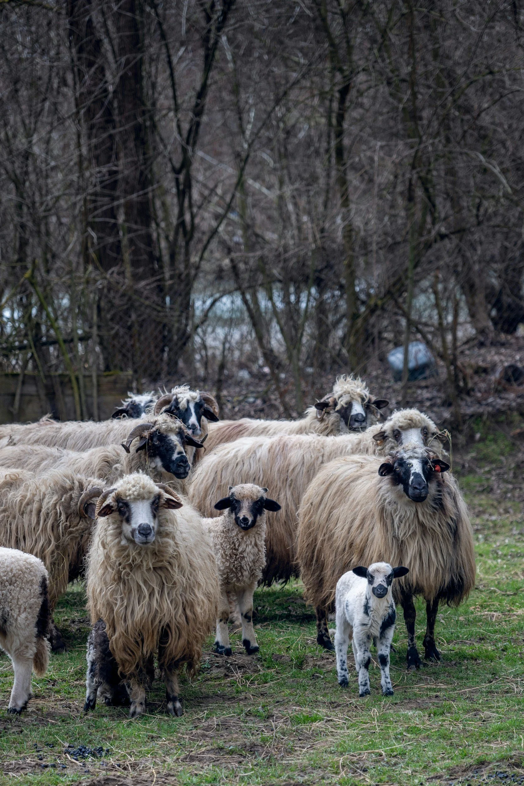 Supporting Fibre Farmers