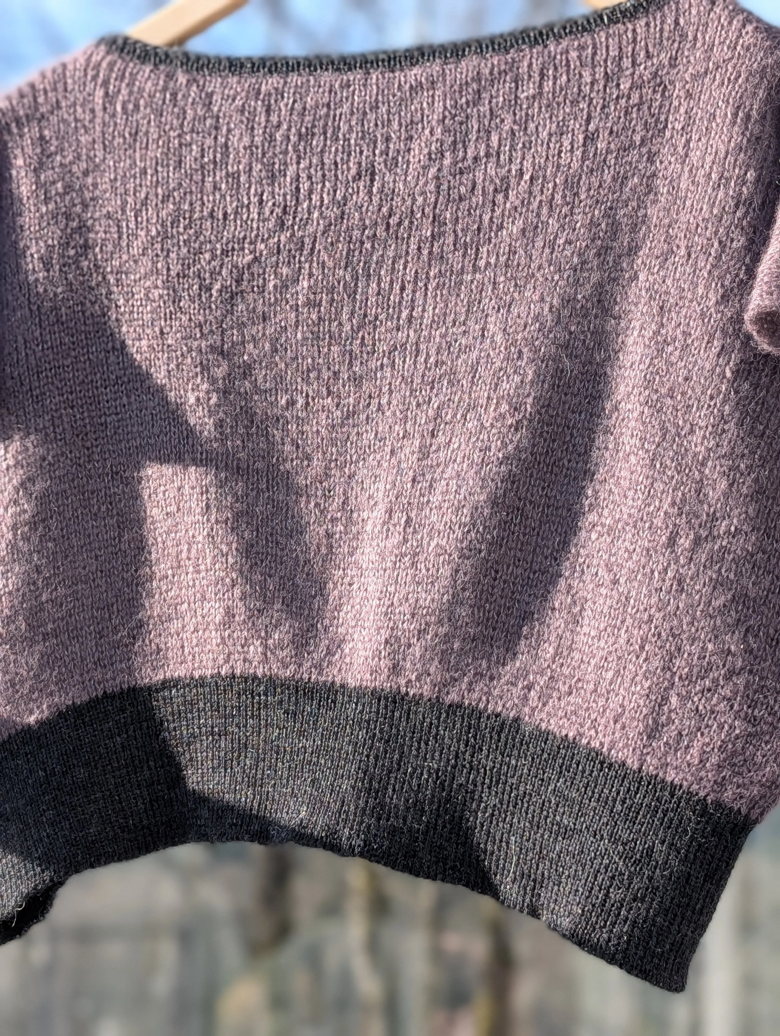 PXL_20251128_202238210.PORTRAIT.jpg (Copy)