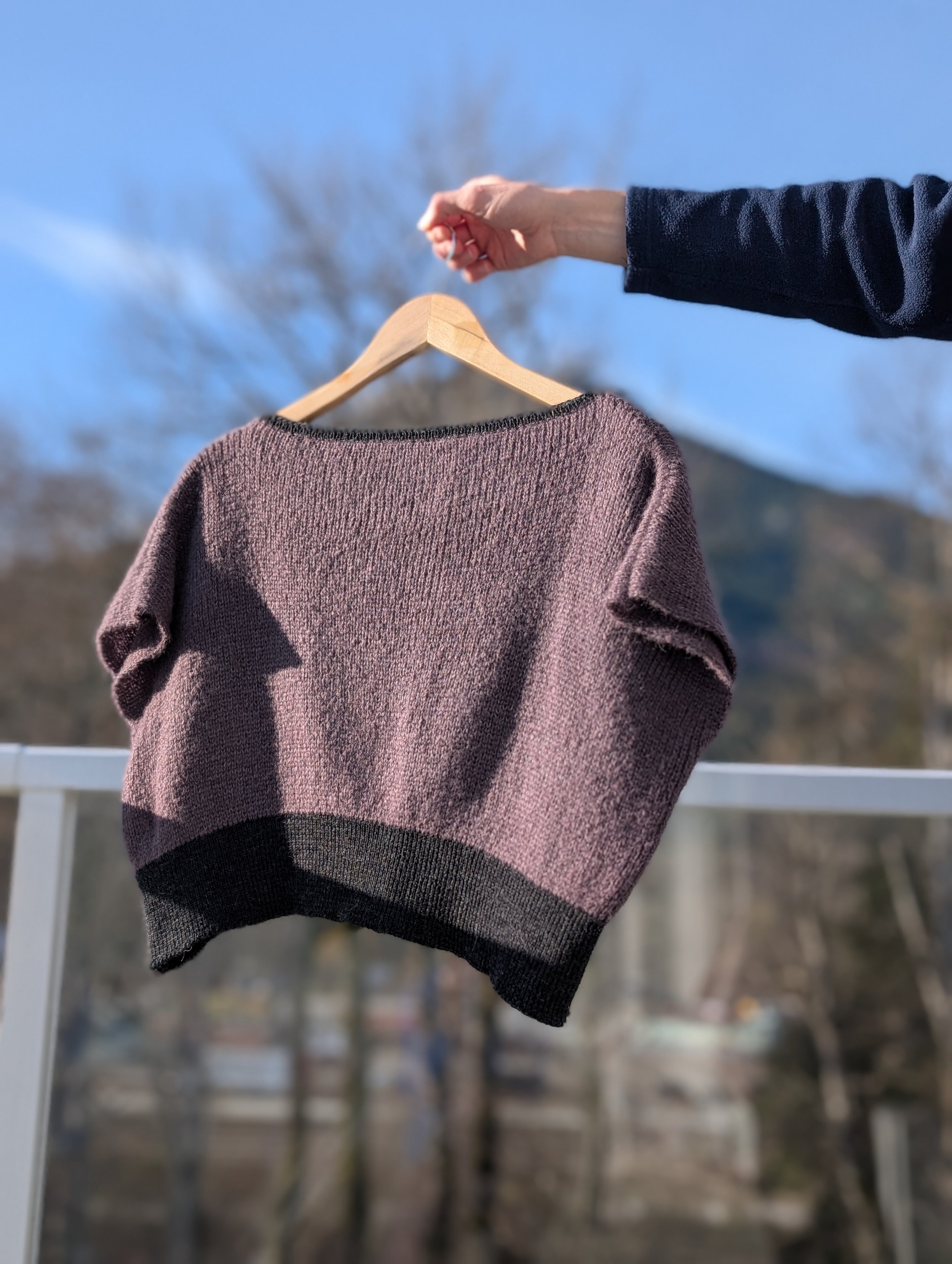 PXL_20251128_202227097.PORTRAIT.jpg (Copy)