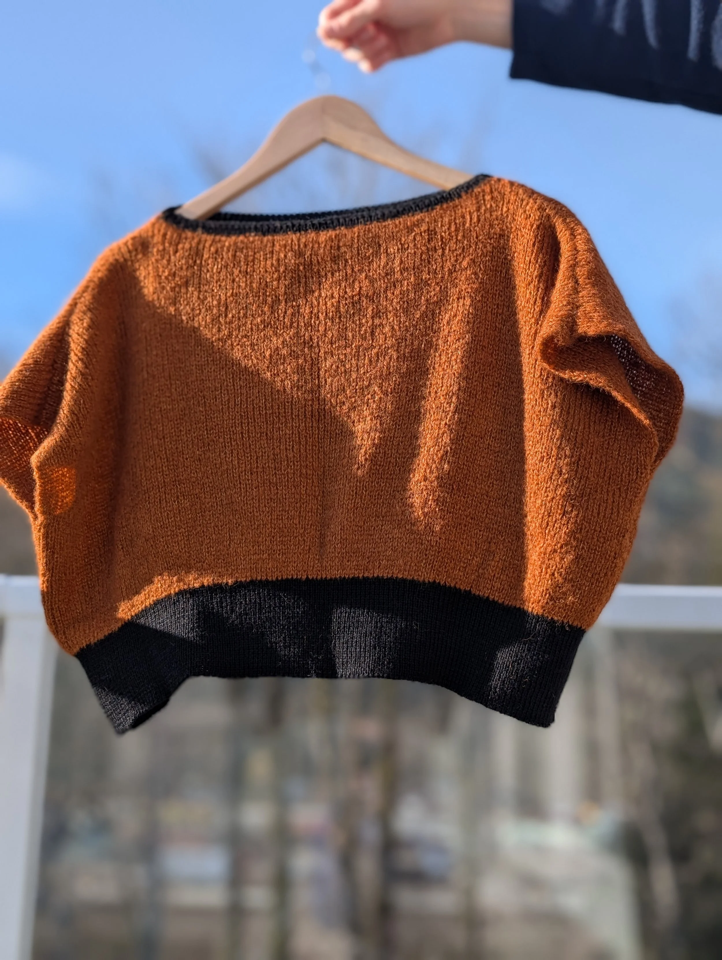 PXL_20251128_202431637.PORTRAIT.jpg (Copy)