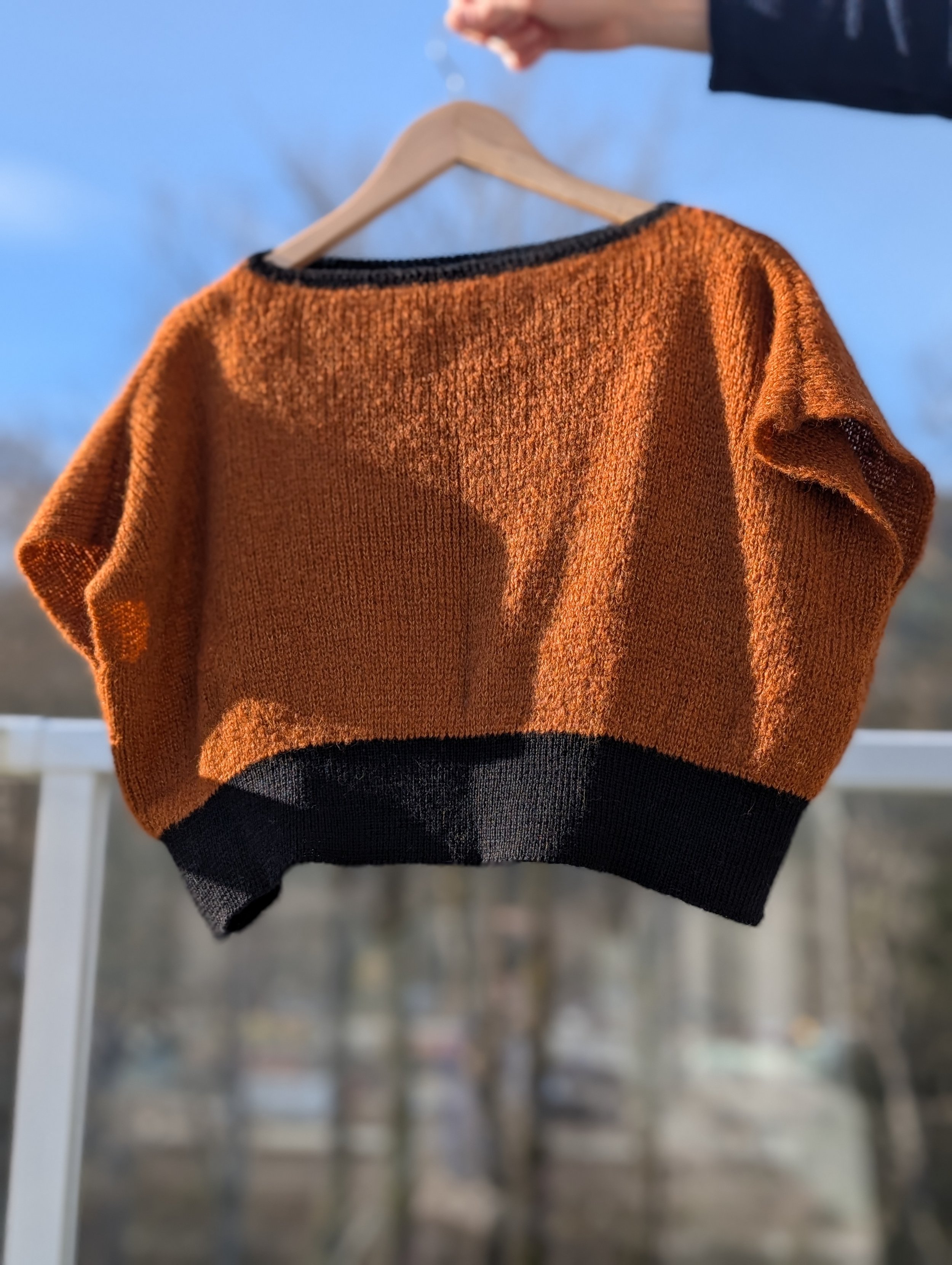 PXL_20251128_202430870.PORTRAIT.jpg (Copy)