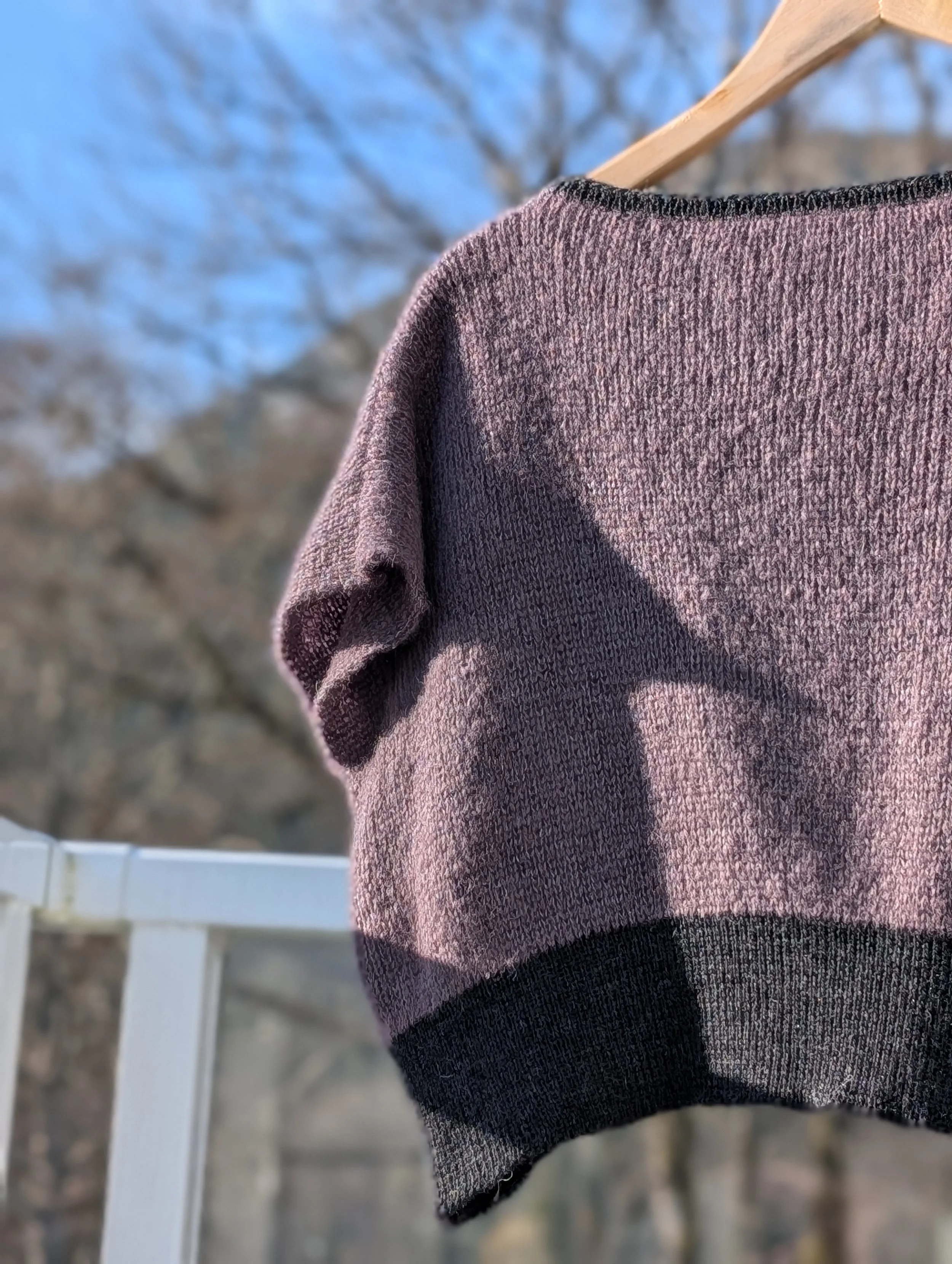 PXL_20251128_202233847.PORTRAIT.jpg (Copy)