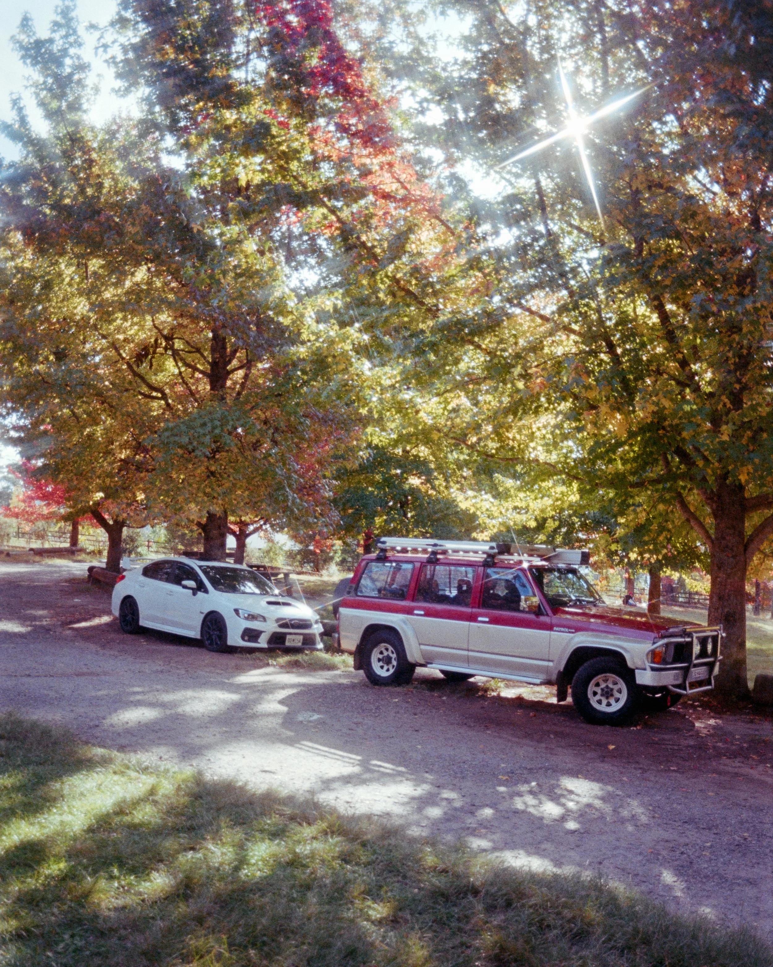 two cars under golden sunlight and trees full of autumn leaves, shot on 35mm Film - Fuji 400