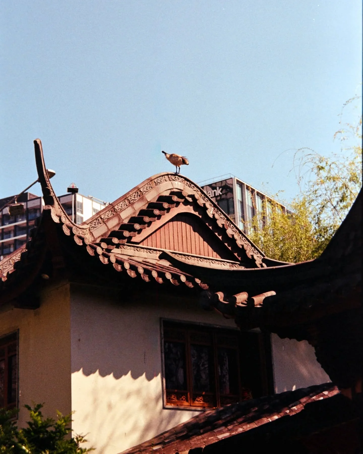 Archived Memories 📦

I've sat on these photos for so long because of the trauma they hold.

I desperately wish I could go back and hold my past self's hand, to tell her what's coming. To tell her not to be worn down by 'obligation,' and that it&rsqu