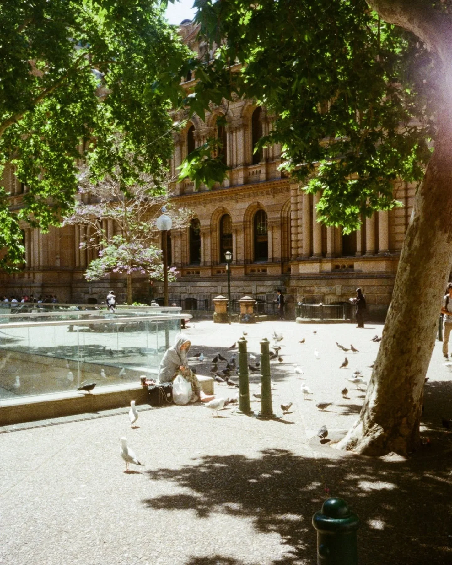 Wandering through Sydney 💖

​I used to be afraid to walk through the City alone. I was convinced by others that I was too weak to handle this life solo. But now? I love exploring every chance I get and I&rsquo;ve come to adore the chaos!

​My loved 