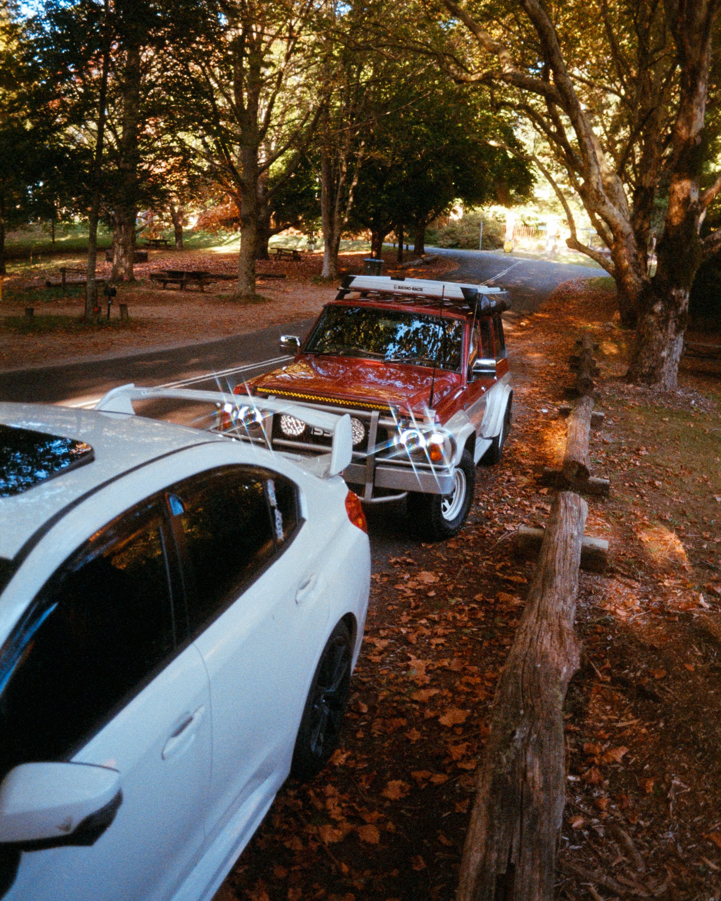 two cars amongst golden afternoon sunlight, surrounded by vibrant orange leaves and a tunnel of trees, shot on 35mm Film - Fuji 400