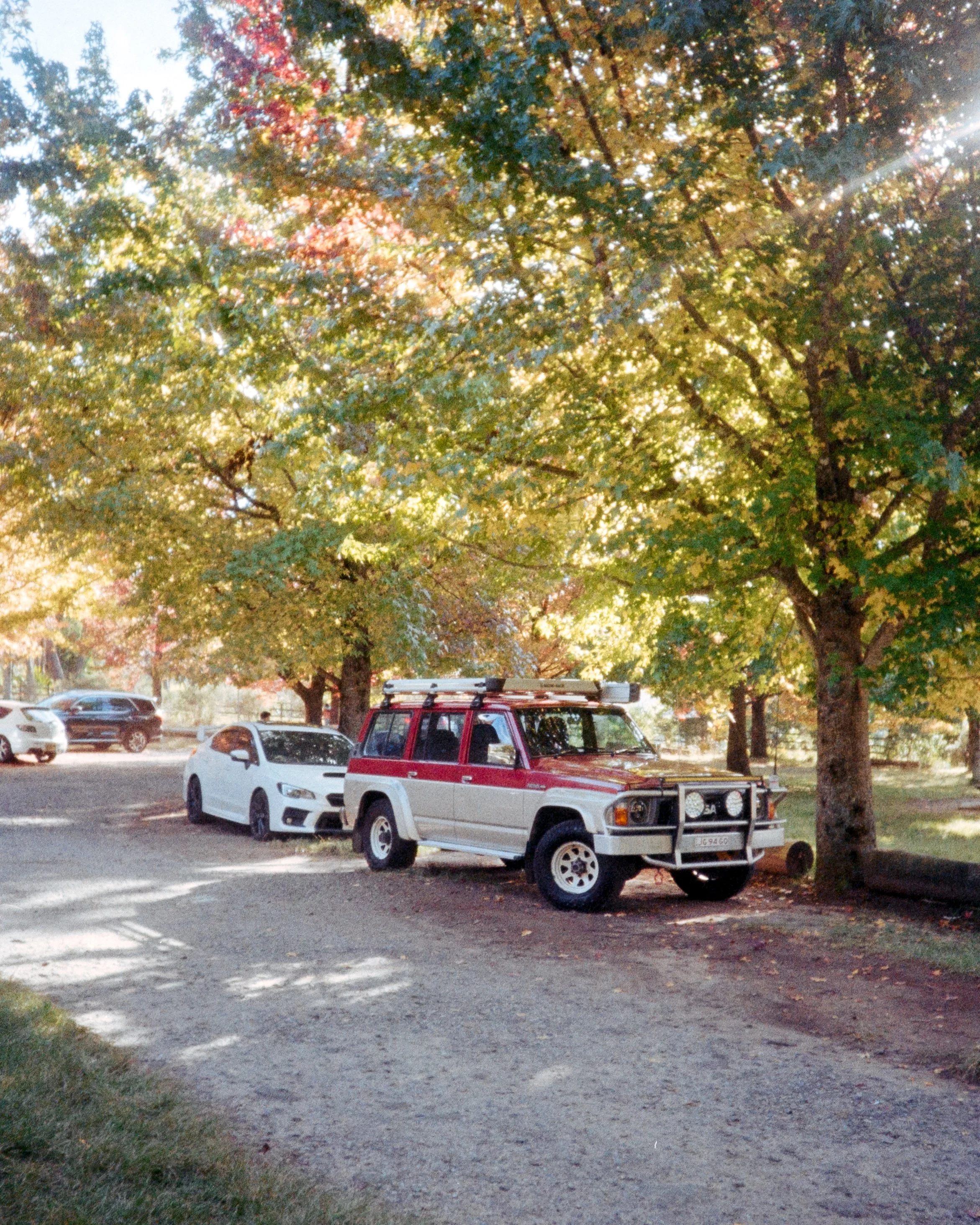 Misa and Scorpion, under the trees at Mt Wilson