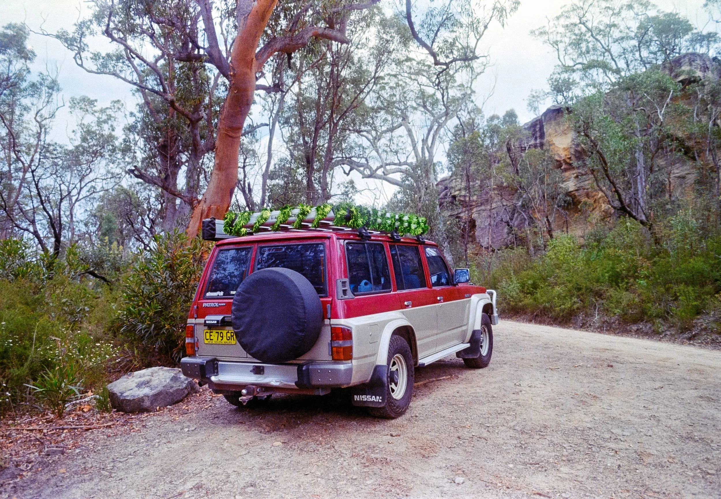 Josie's GQ Patrol, Scorpion, with tinsel wrapped around her roof rack, out in the forest just after New Years in 2024, on 35mm Film - Ultramax
