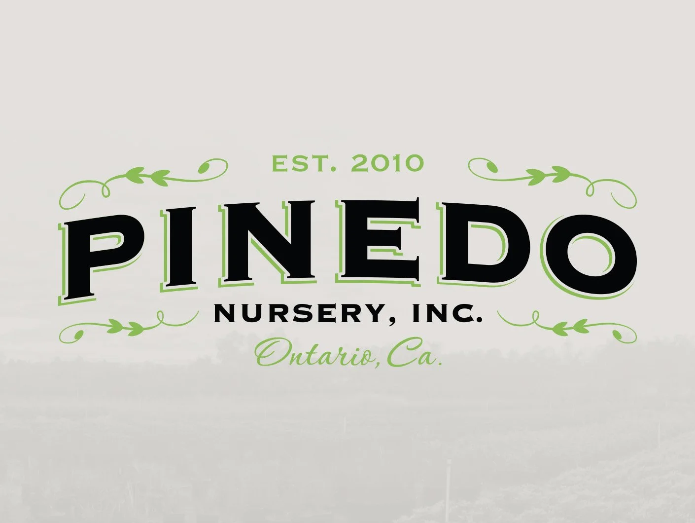 Pinedo Nursery: Brand Identity & Stationery