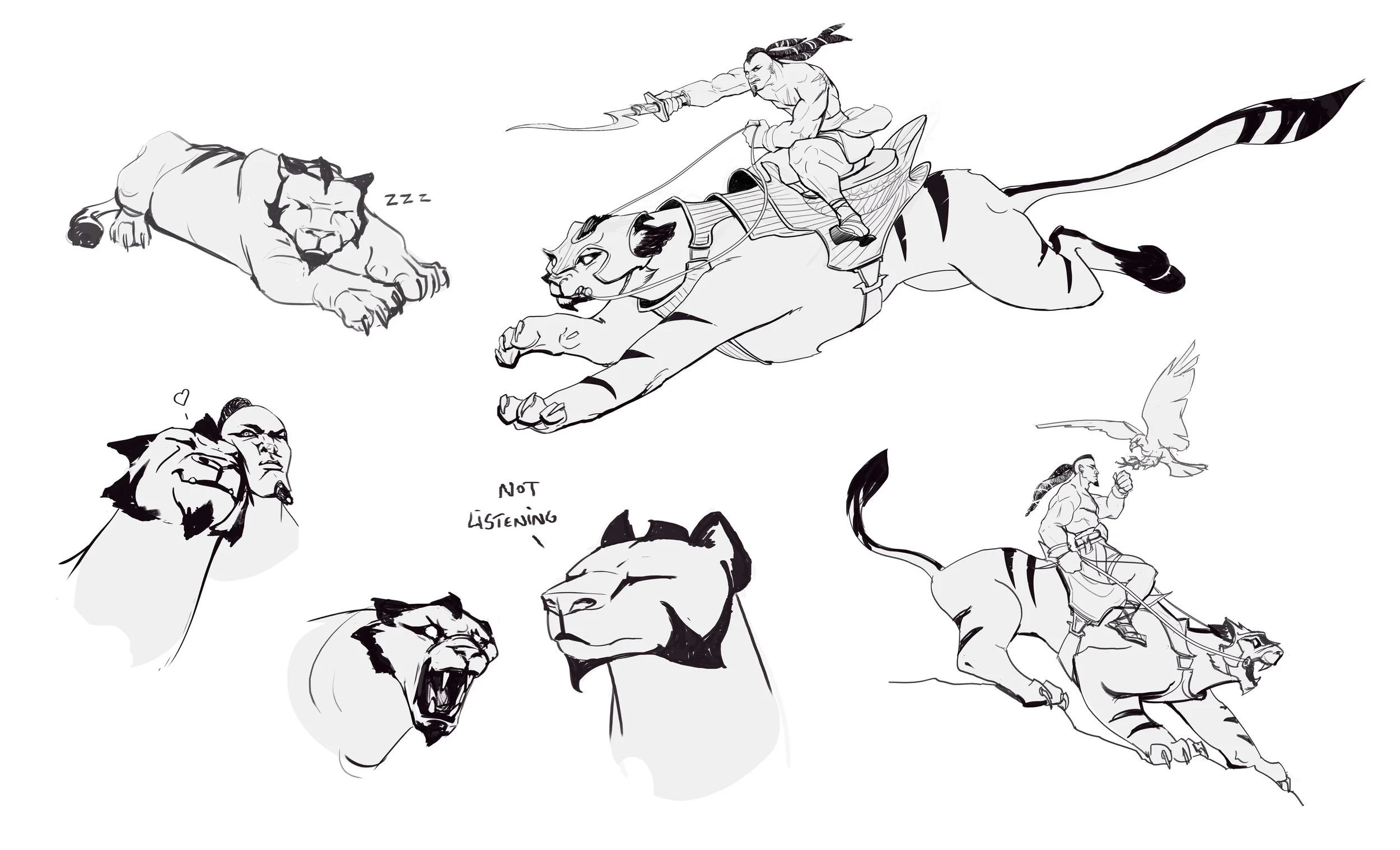 cat_rider_sketches.jpg