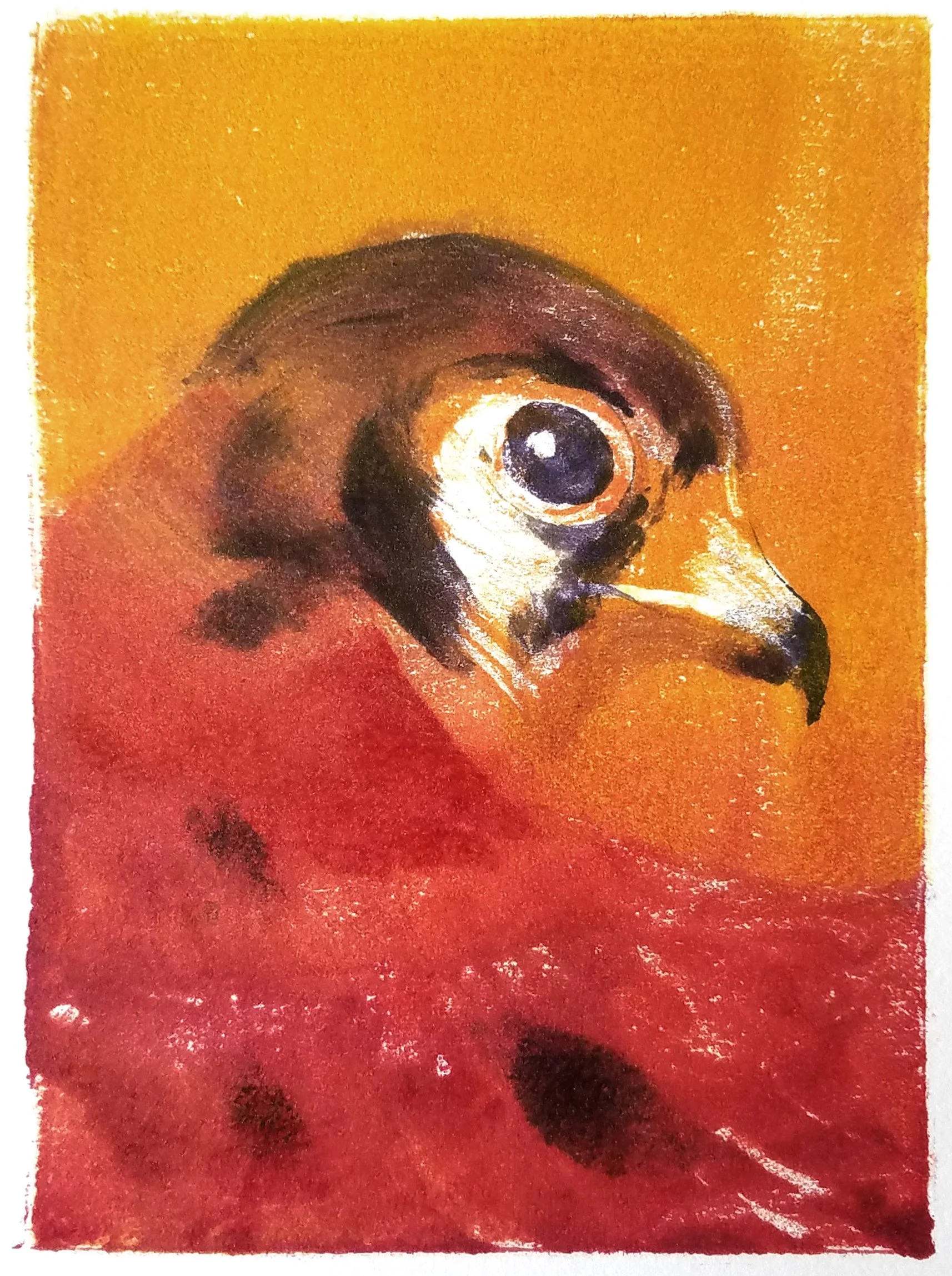 Close-up of a pigeon with a yellow background and a red base, painted in a style resembling abstract or expressionist art.