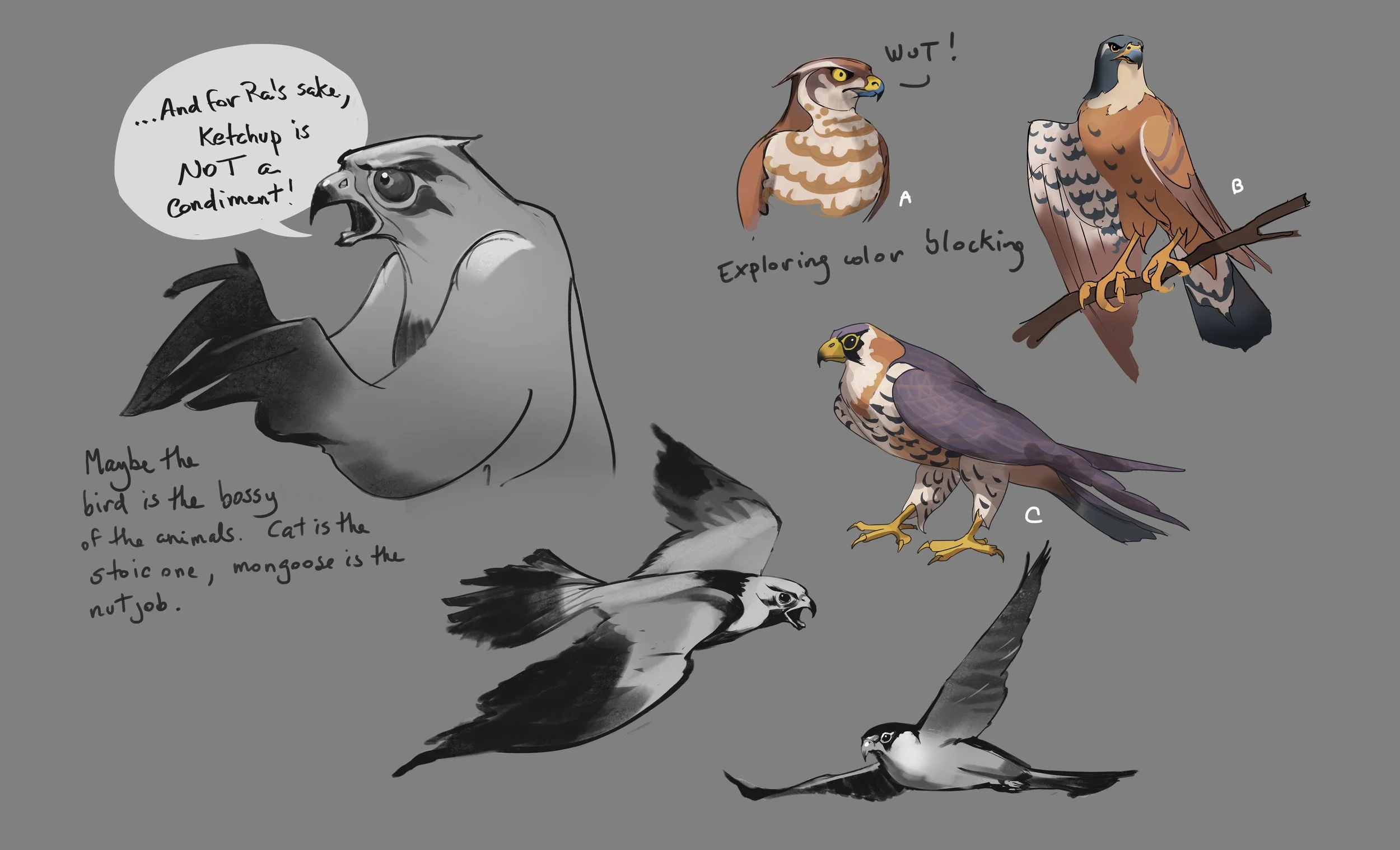 falconsketches1.jpg