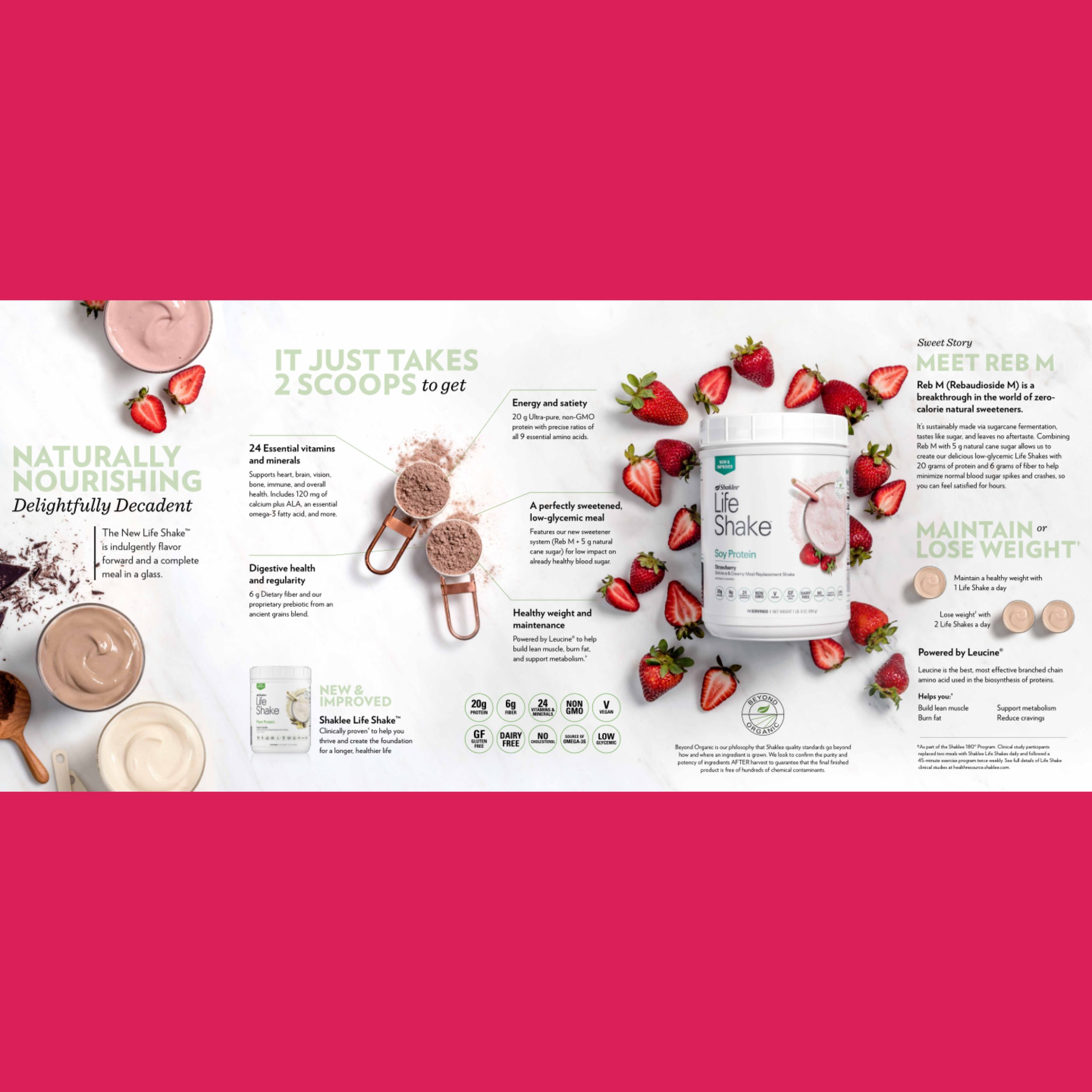 MEAL REPLACEMENT HIGH PROTEIN SHAKE BLEND SMOOTHIE BREAKFAST LUNCH NATURAL ORGANIC