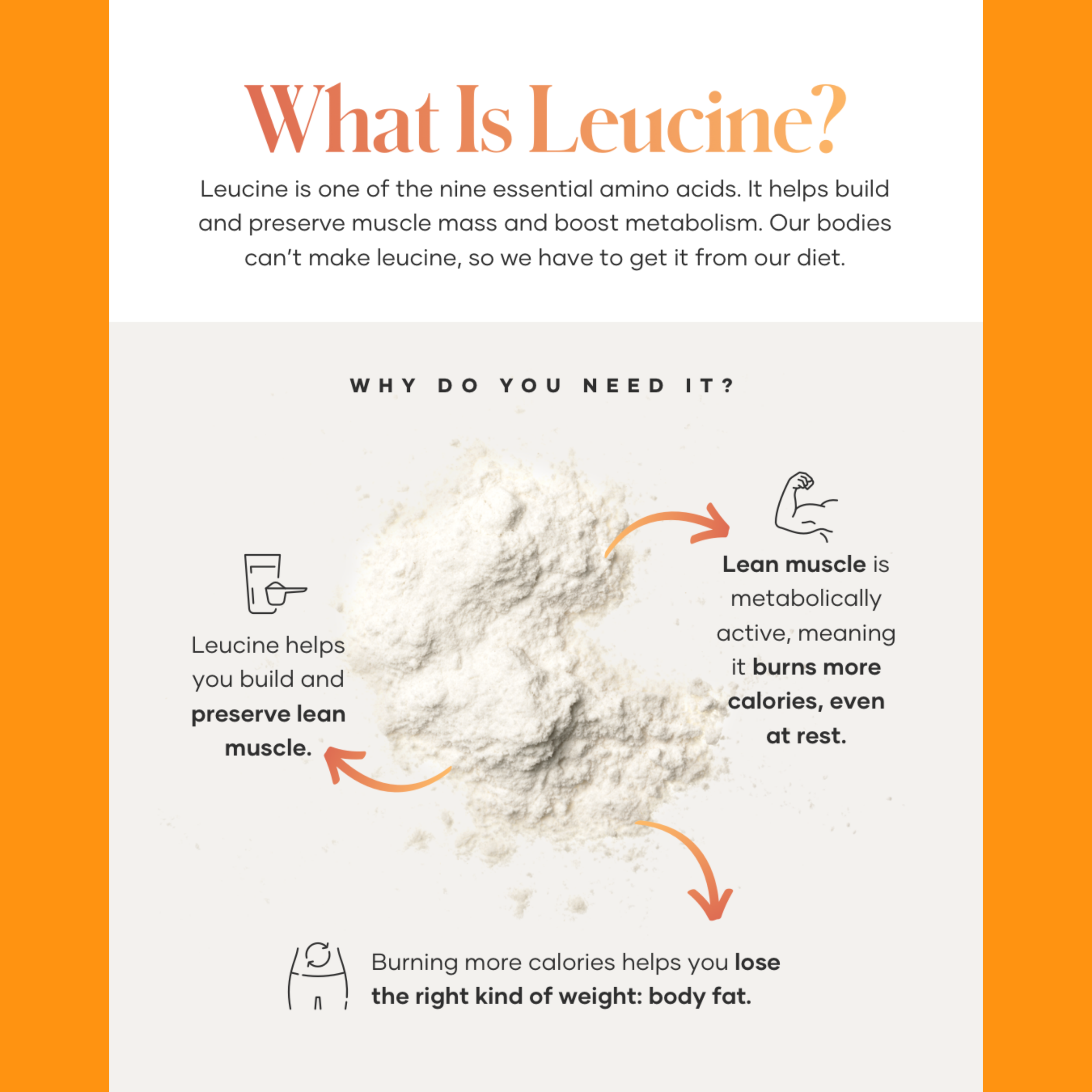 NATURAL WEIGHTLOSS HIGH PROTEIN SUPPLEMENTS FOR EASY WEIGHLOSS LEUCINE