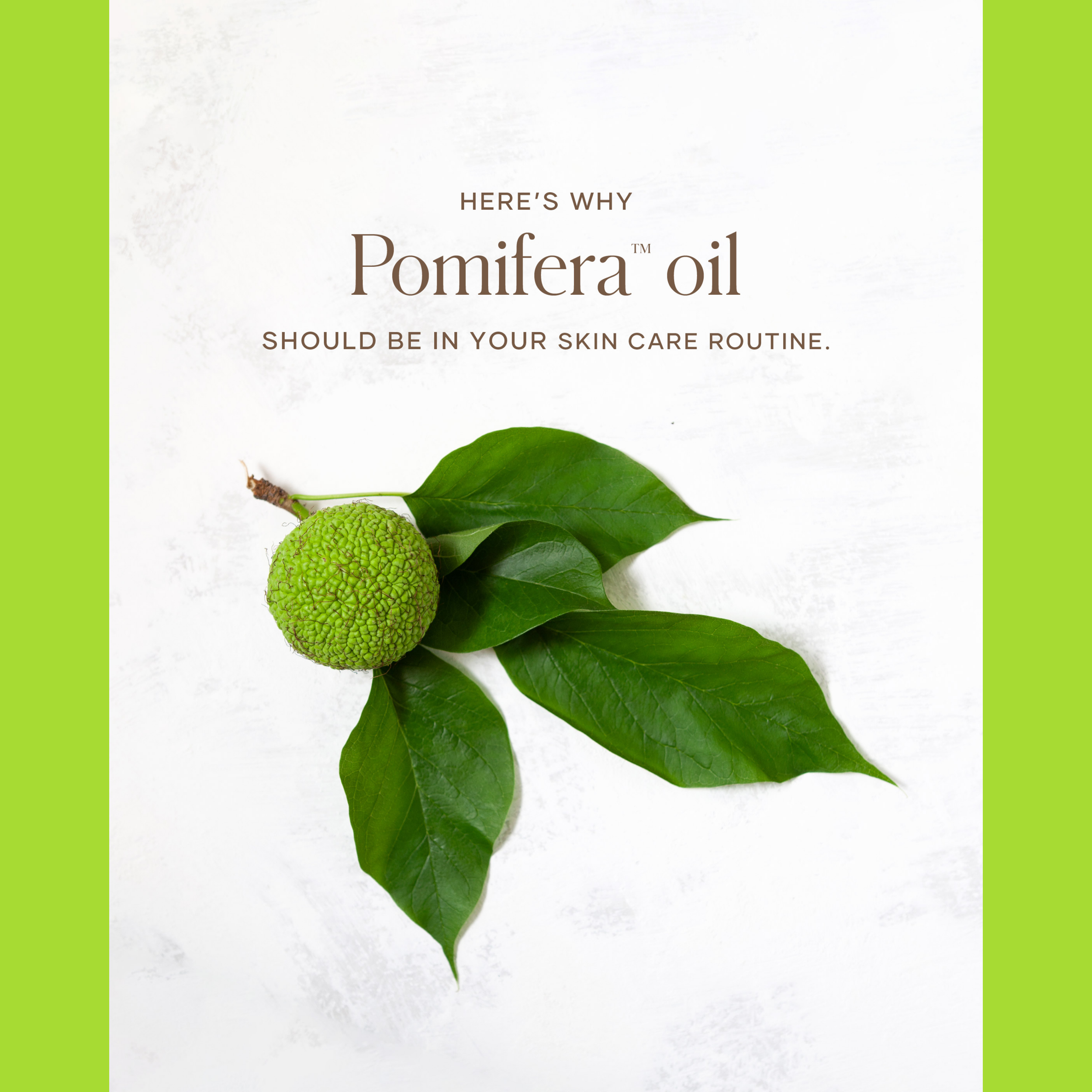POMIFERA OIL SKINCARE NATURAL ORGANIC VEGAN FACE OIL