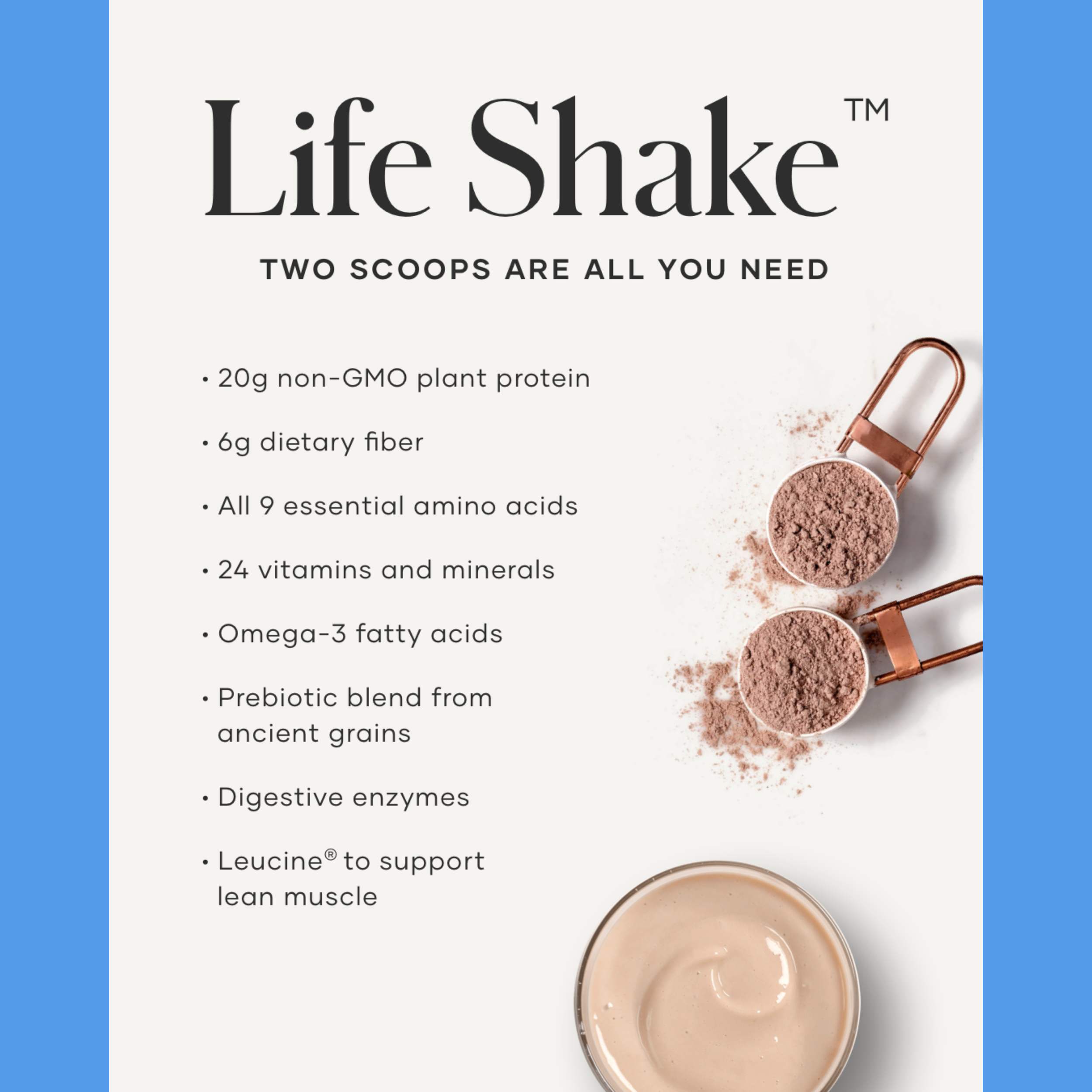 HIGH PROTEIN POWDER NUTRION BLEND SMOOTHIE DRINK VITAMIN SUPPLEMENT