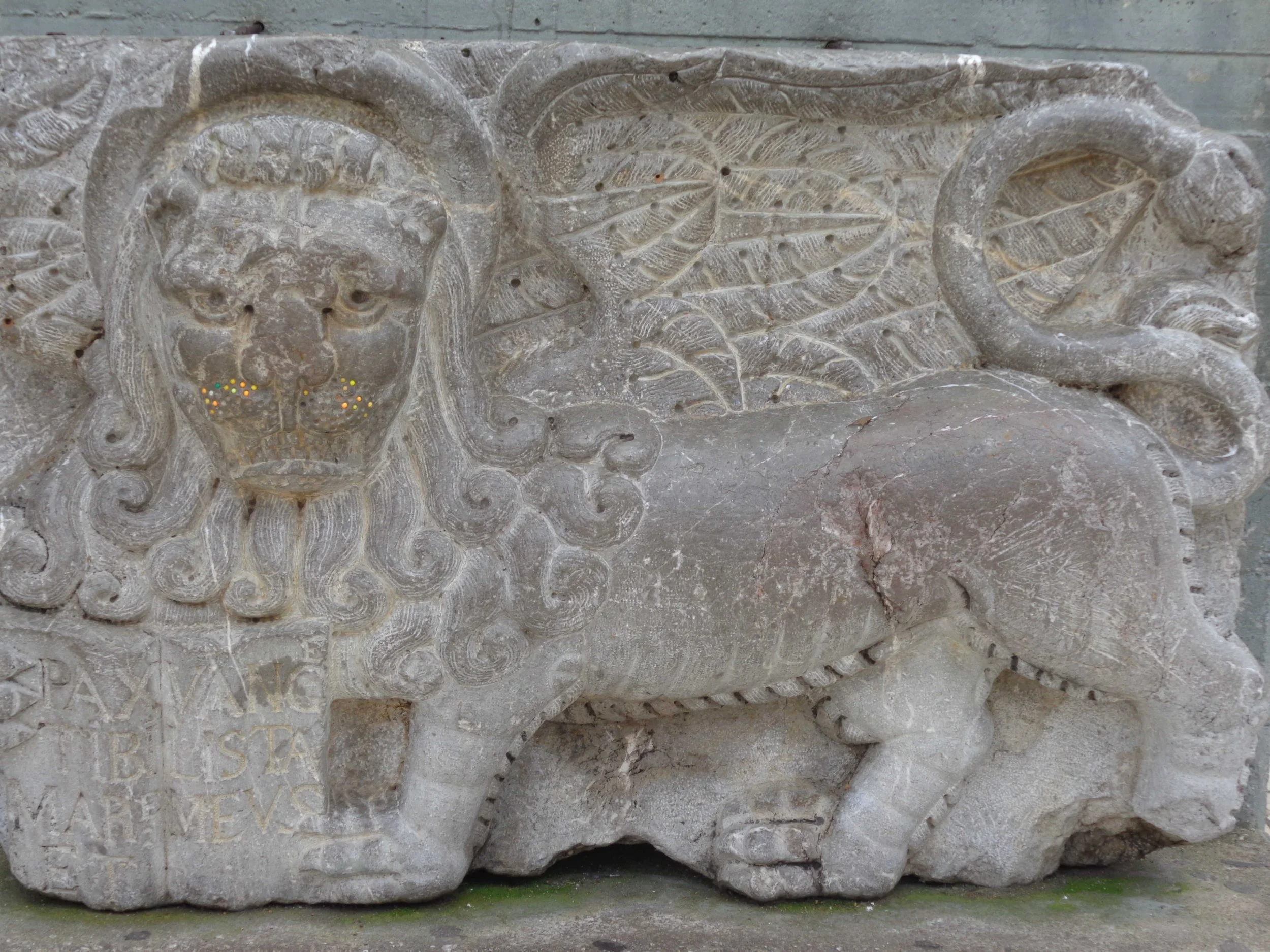 liontari_site.jpg