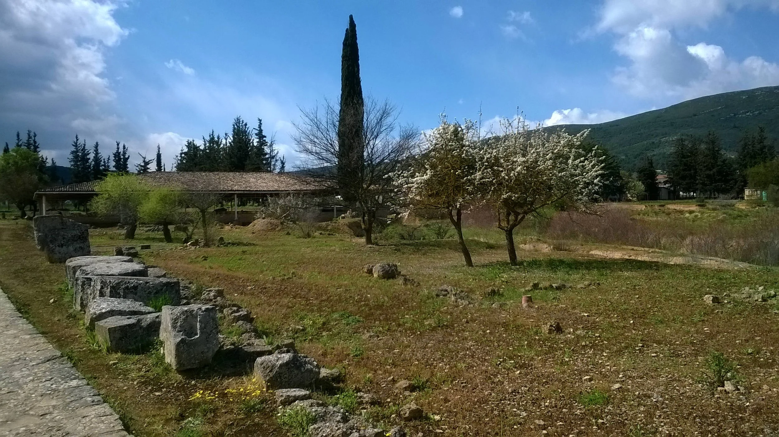 nemea_general_view_site.jpg