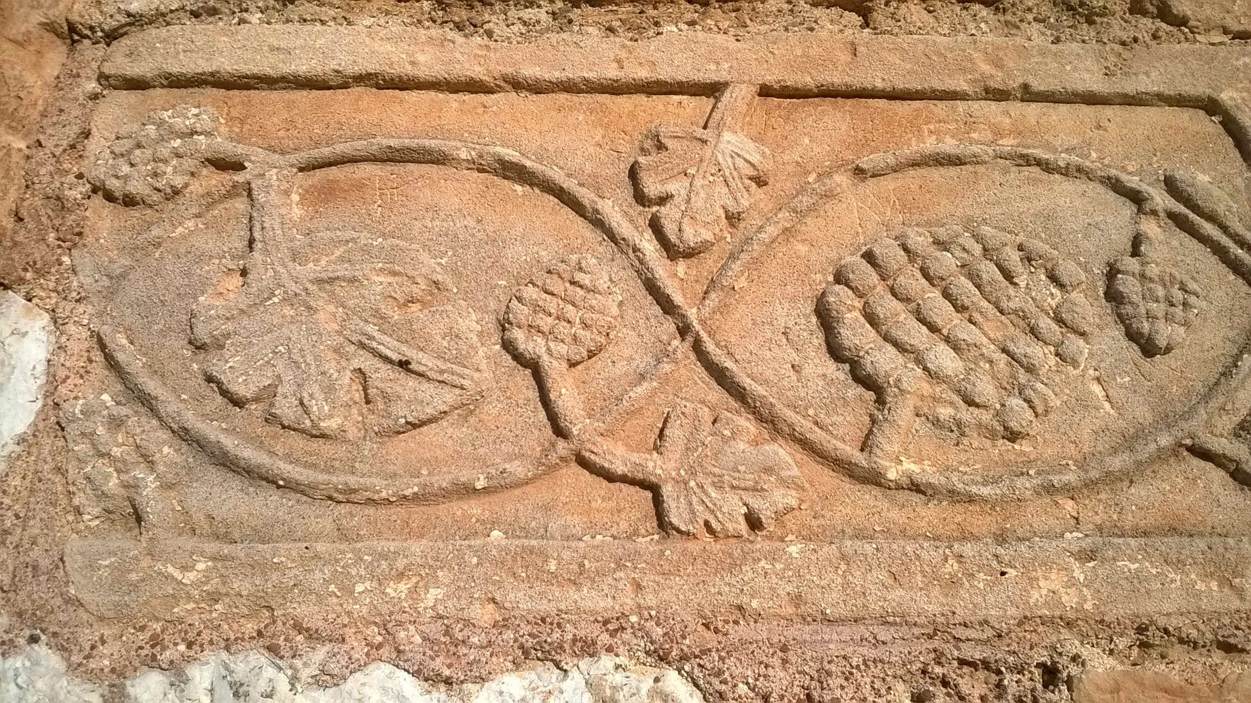 wp_20161221_008_site.jpg