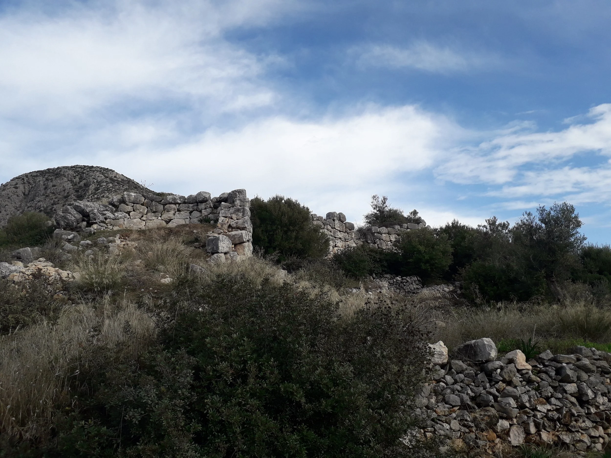 20191211_110151.jpg