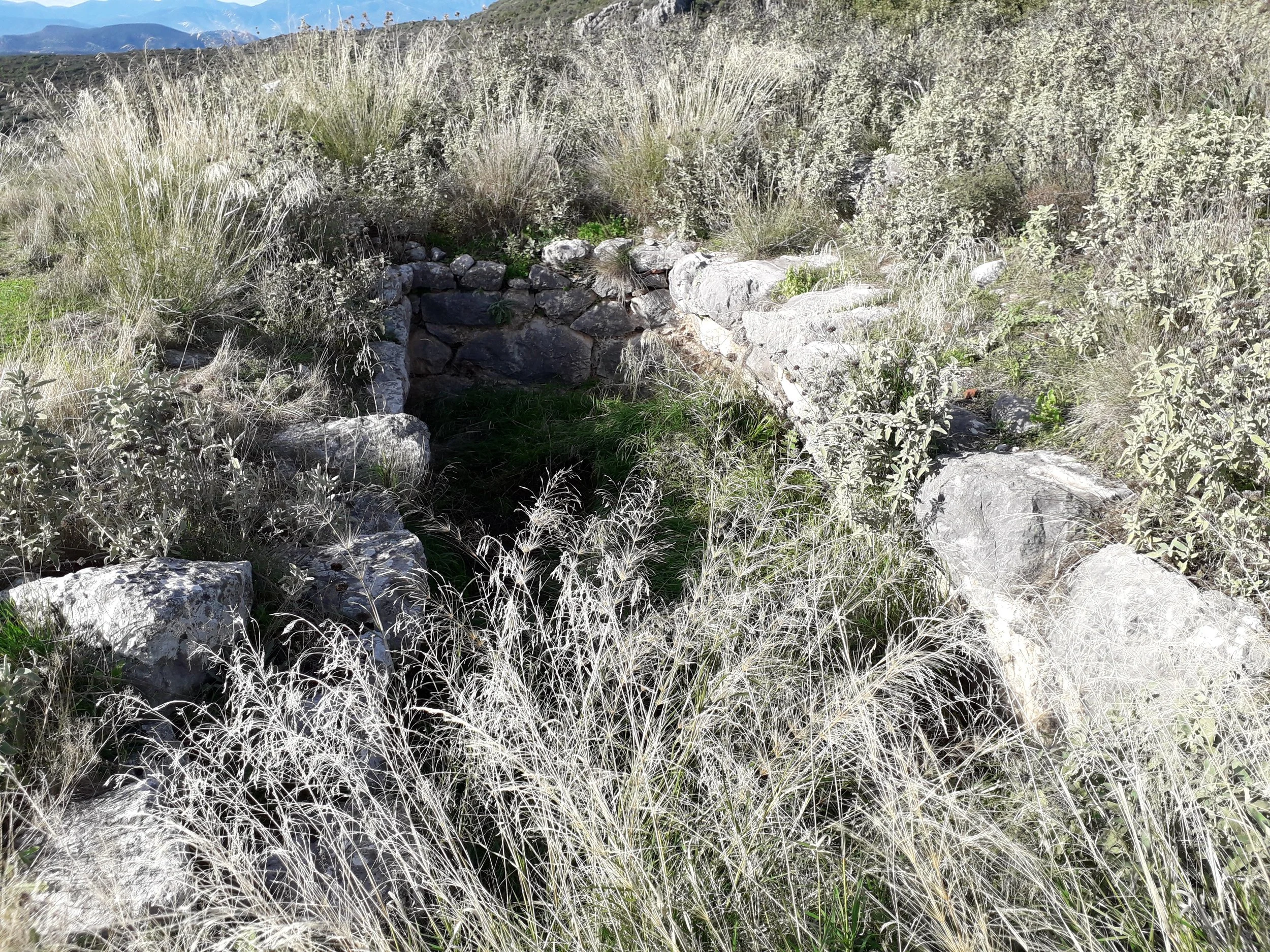 20191224_110444.jpg