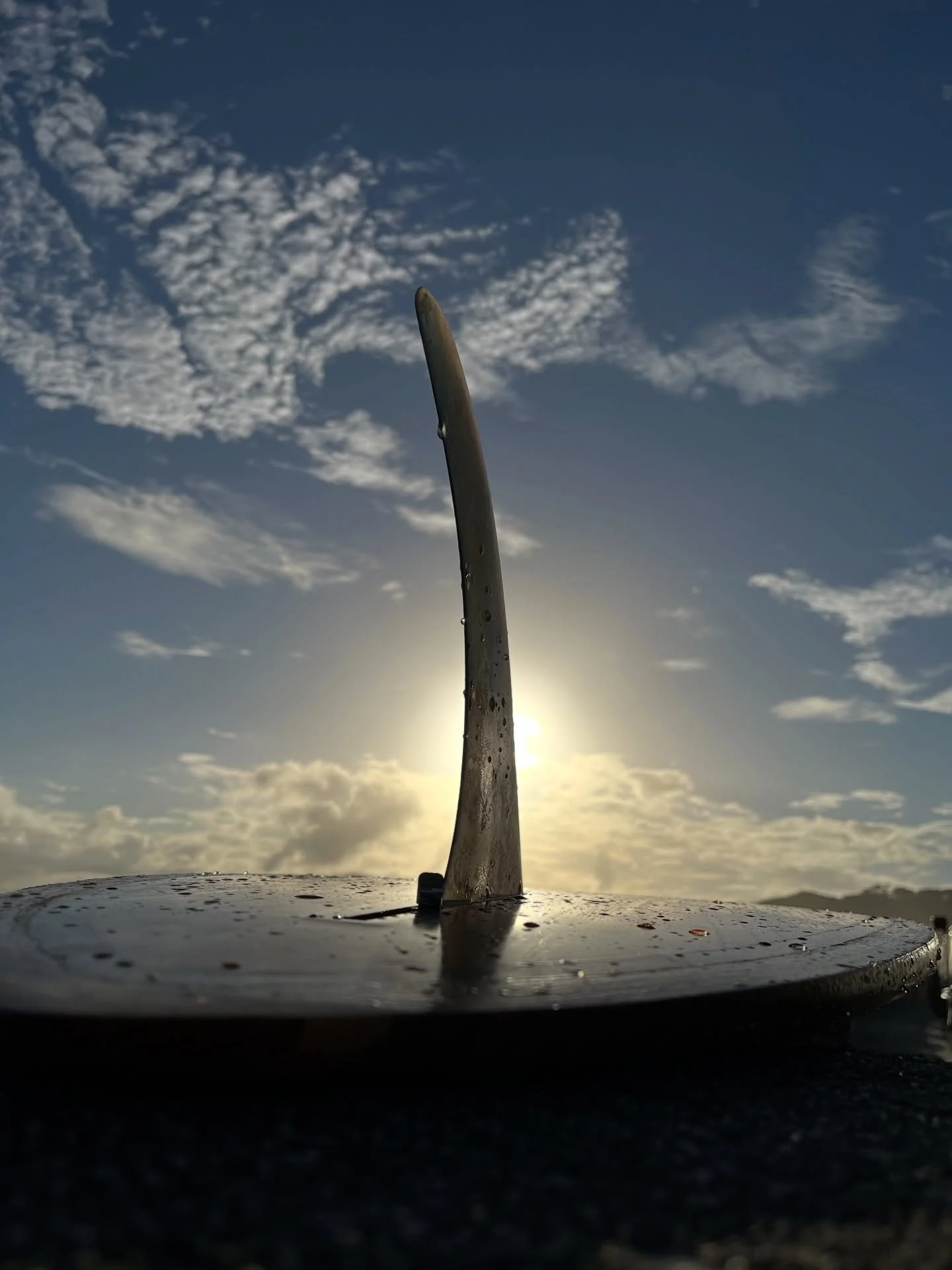 Nature 🙏🏽🙇🏽&zwj;♂️
#waves
#flowers 
#sky 
#ocean