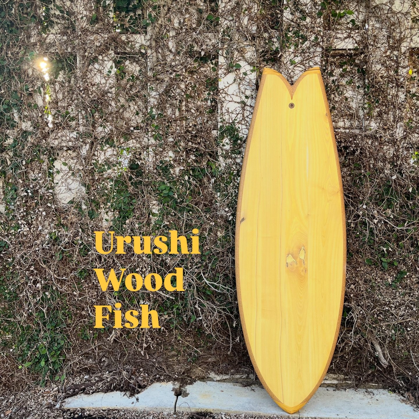 Urushi Wood Fish
The wood from the Urushi tree features a beautiful yellow, with flexibility and weight similar to that of Paulownia and Japanese cedar. It is excellent for crafting and finishing.
Ready to Urushi coating by @takuuuututu 
Special for 