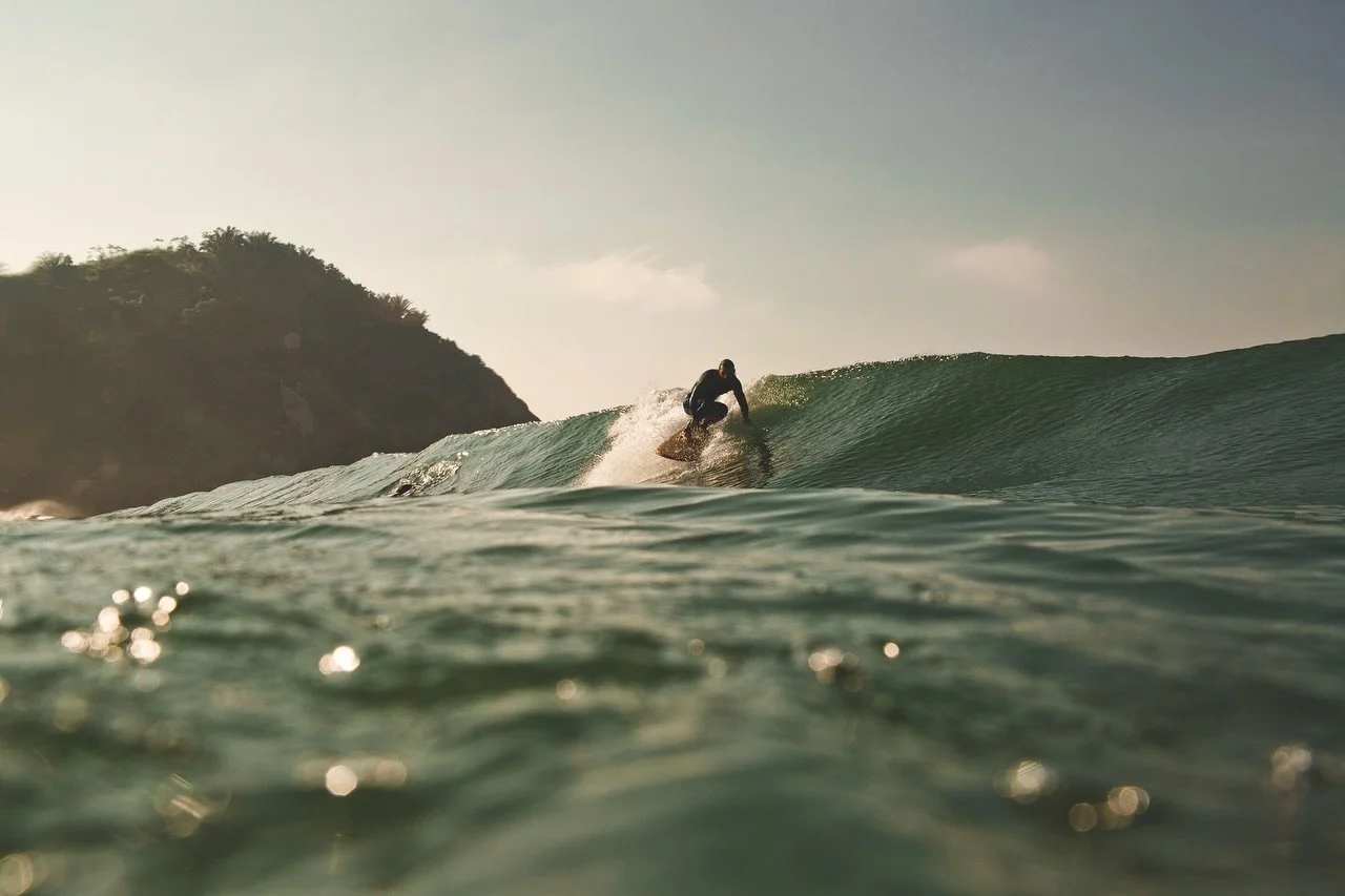 Corky finless session @andrew__serrano 
@flamboiar 
📸 @raphatognini @carobridi