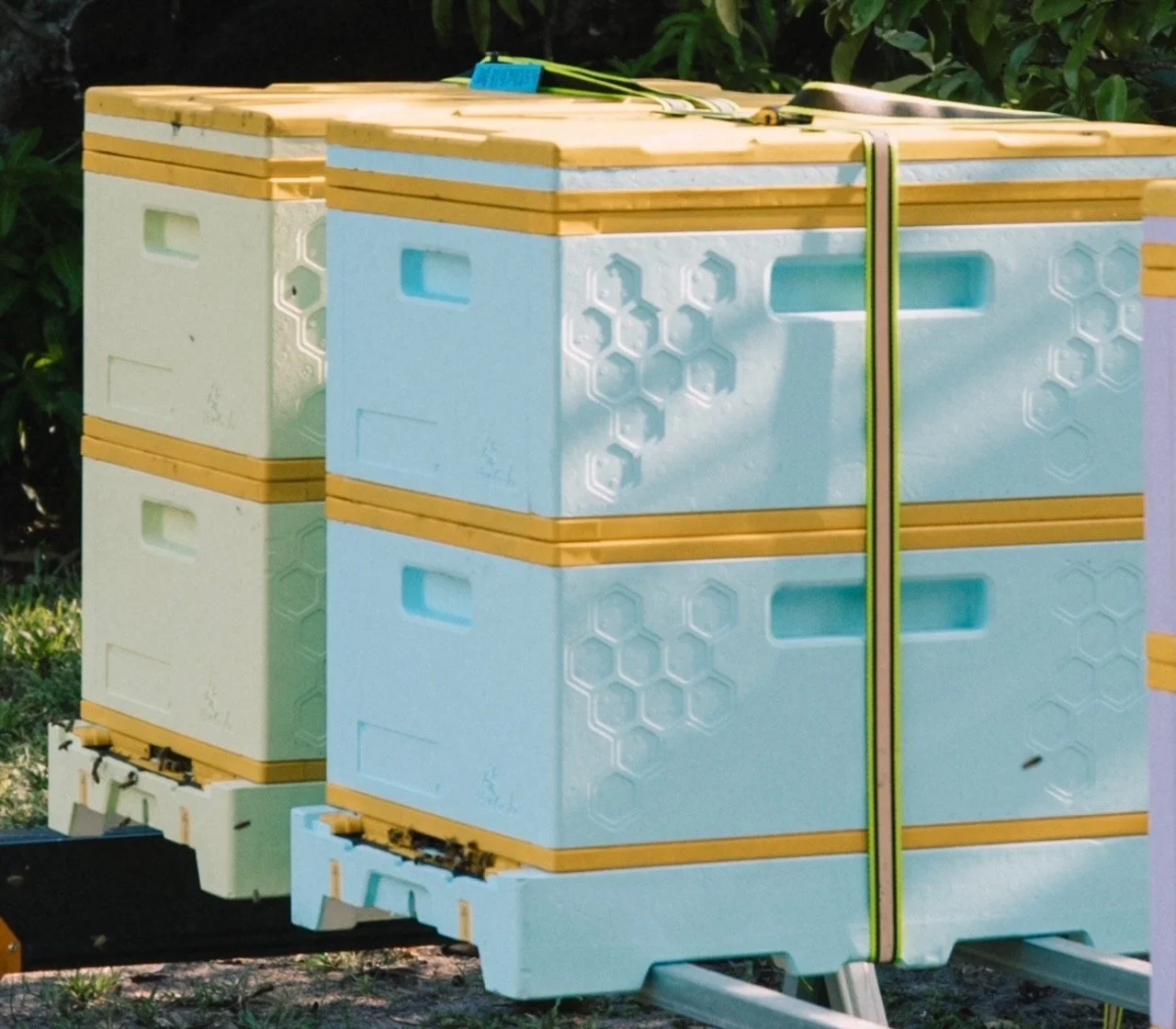 Double story Hive