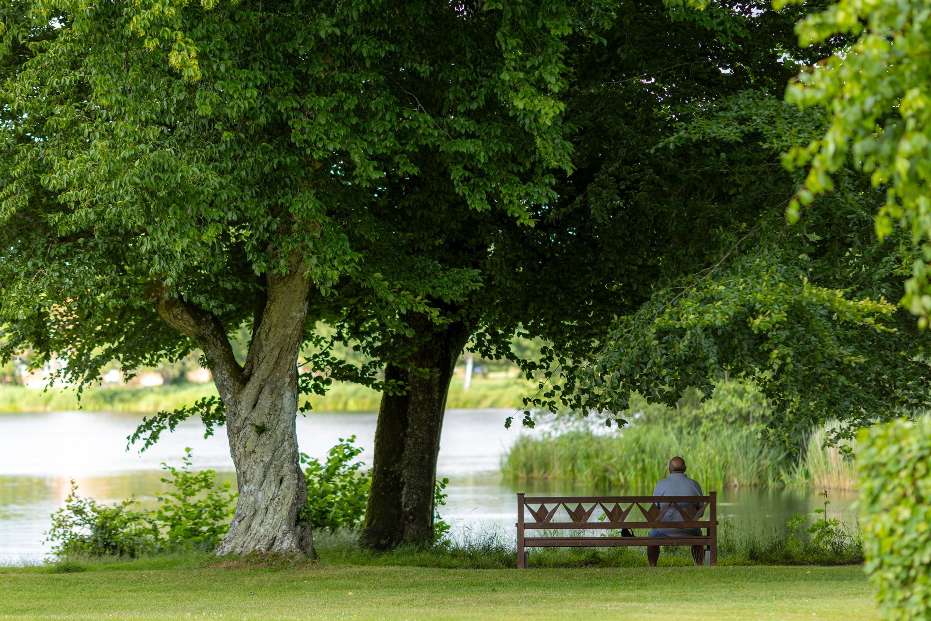 En mand sidder alene på en bænk ved en sø omringet af grønne træer.