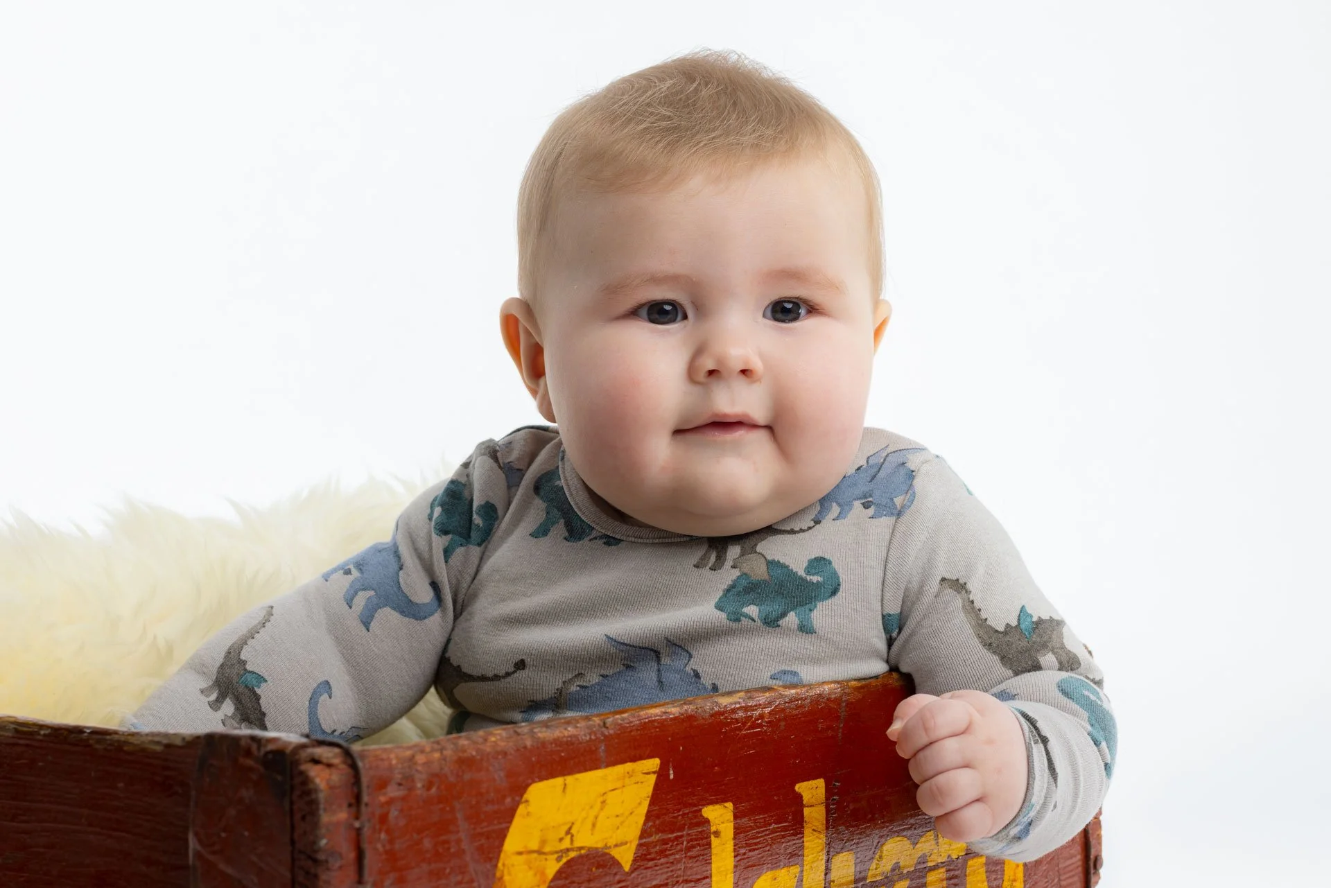 En meget sød baby dreng med blond hår sidder oppe i en rød trækasse med gult tekst, iført en lysegrå skjorte med dødningehoved- og dinosaurus-mønster, mod en blank hvid baggrund.