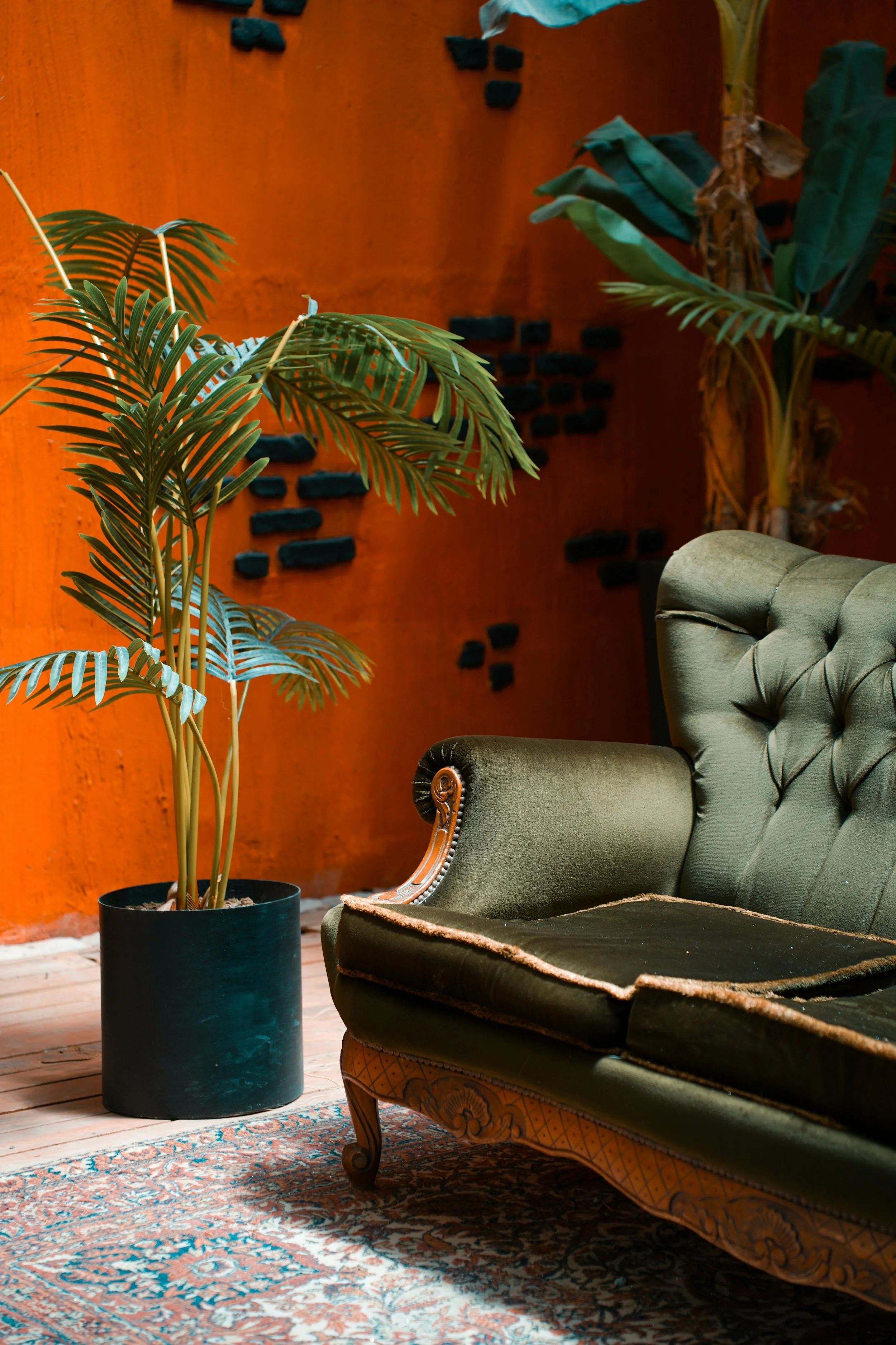 Un sofa ancien en velours vert foncé avec dossier capitonné, placé près d'une grande plante en pot, dans une pièce avec un mur orange et un tapis oriental.