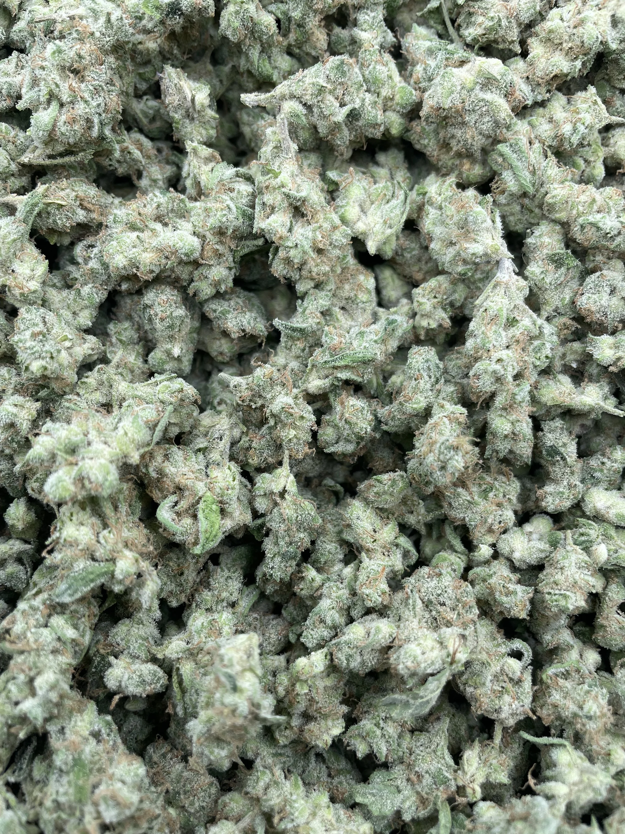 STRAWBERRY ZKITTLEZ (SMALLS)