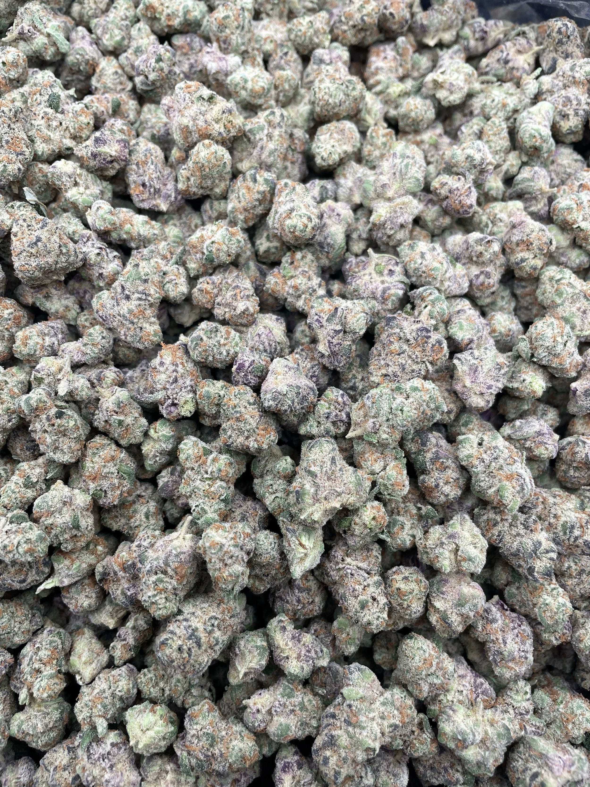 GLITTERBOMB (SMALLS)