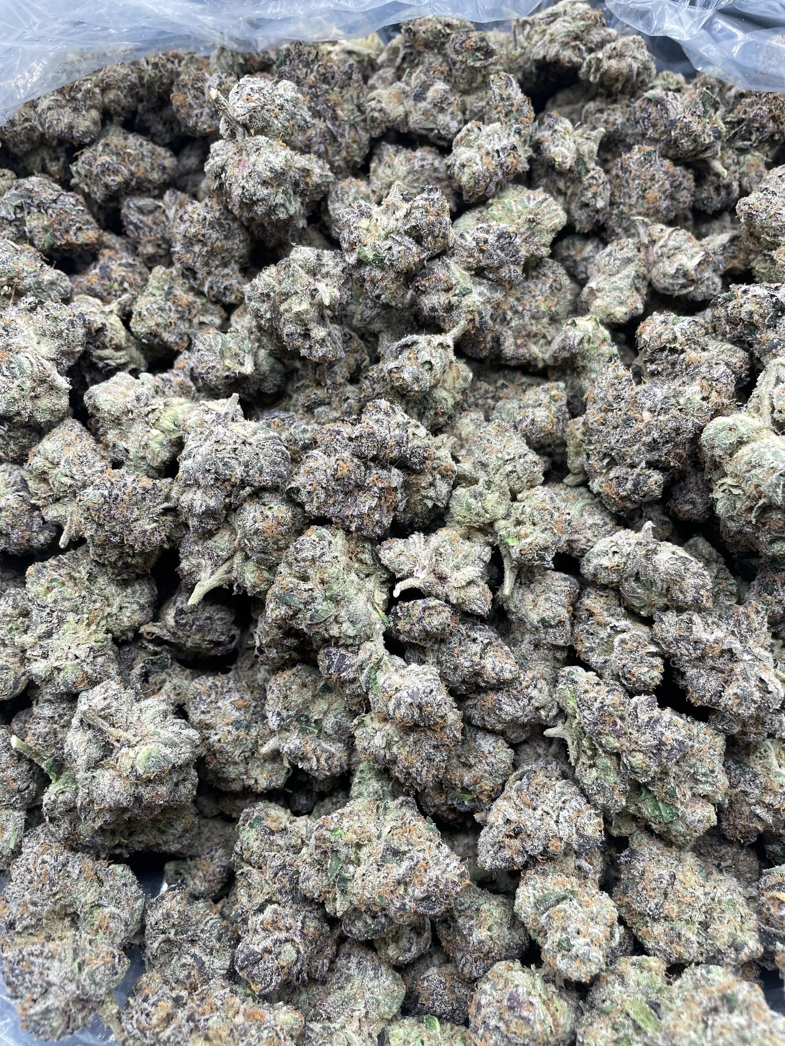 /s/pinkstarburst.mp4