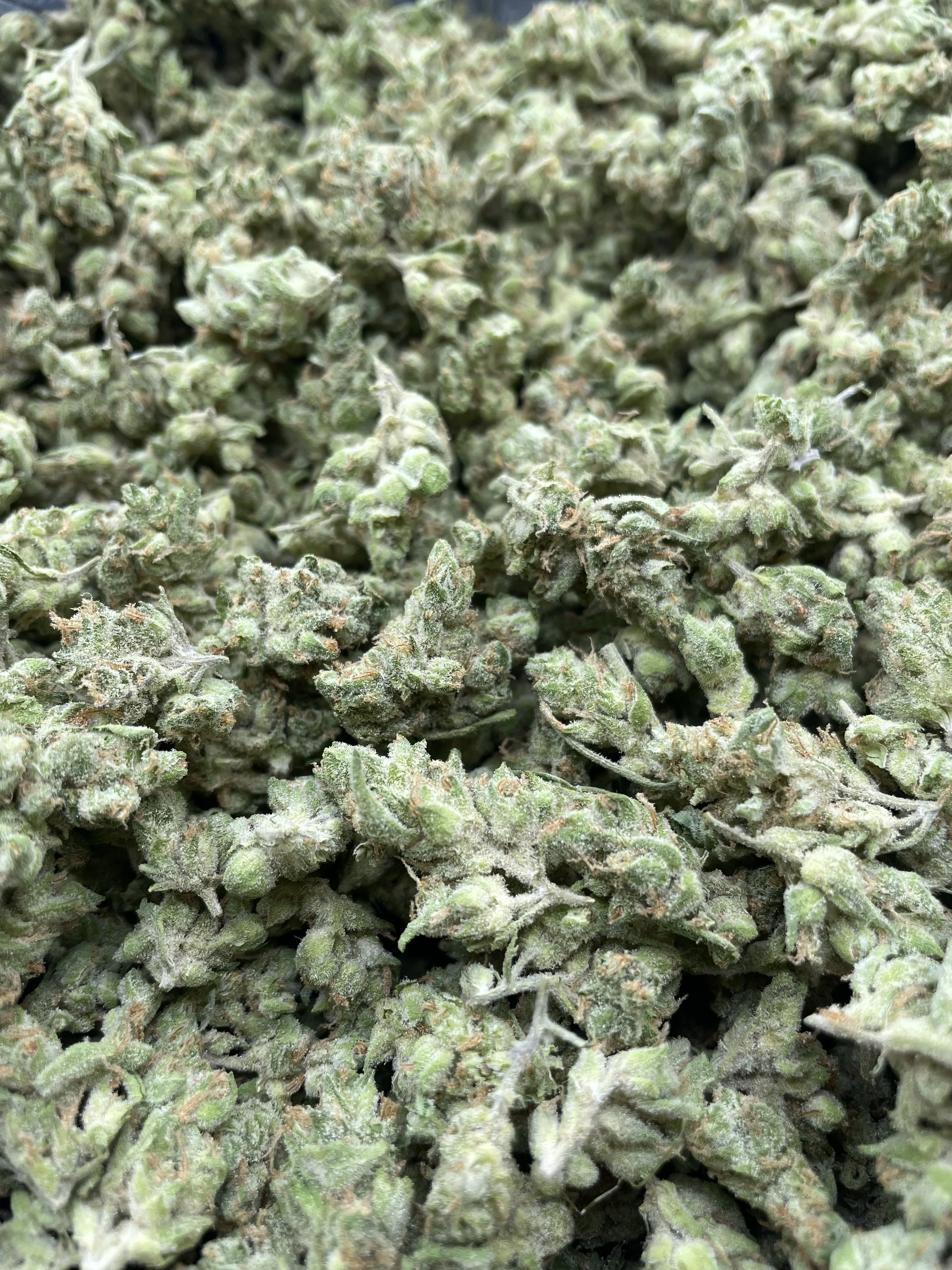 /s/berryzsmalls8.mp4