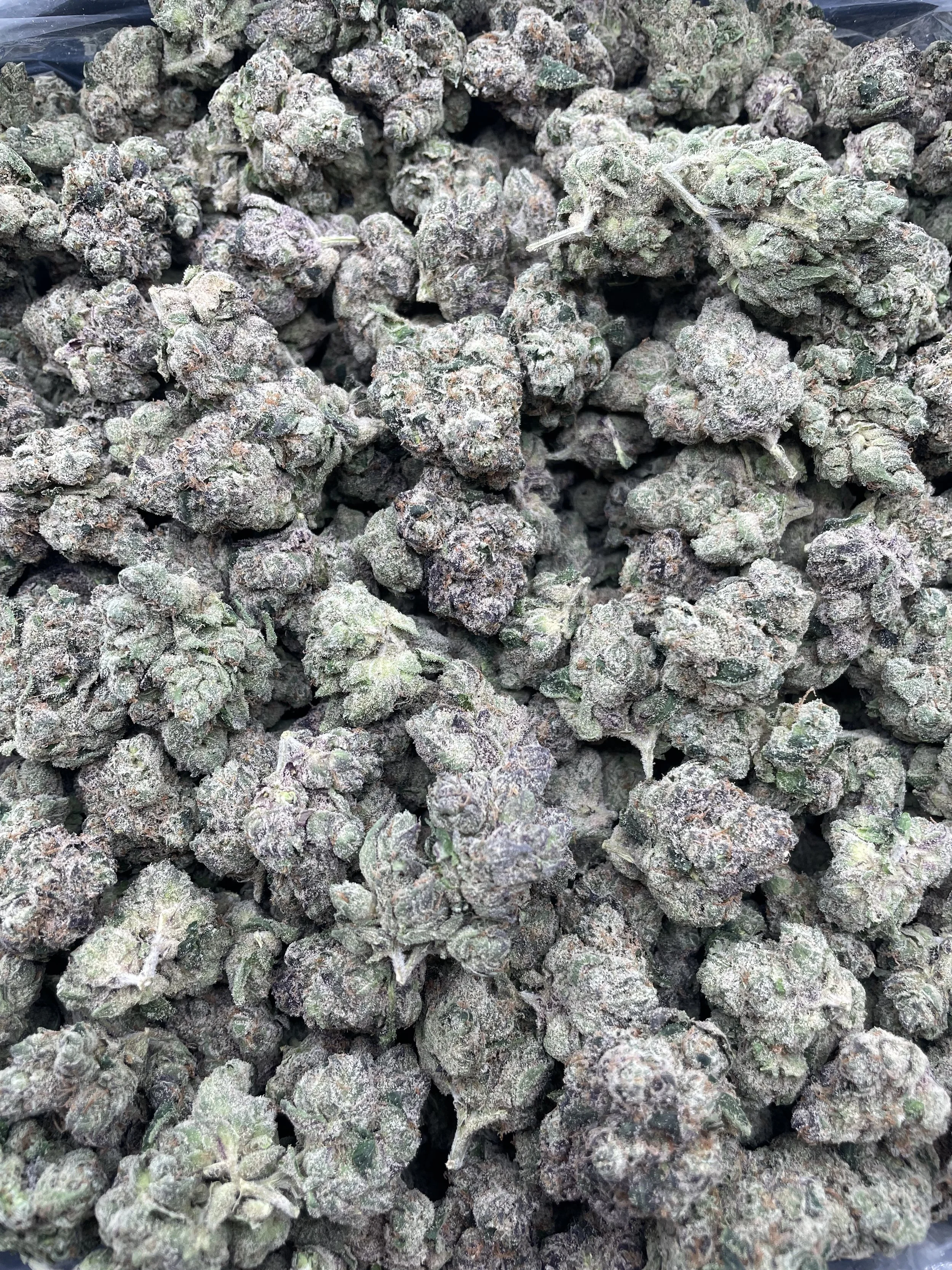 /s/blackraspberry.mp4