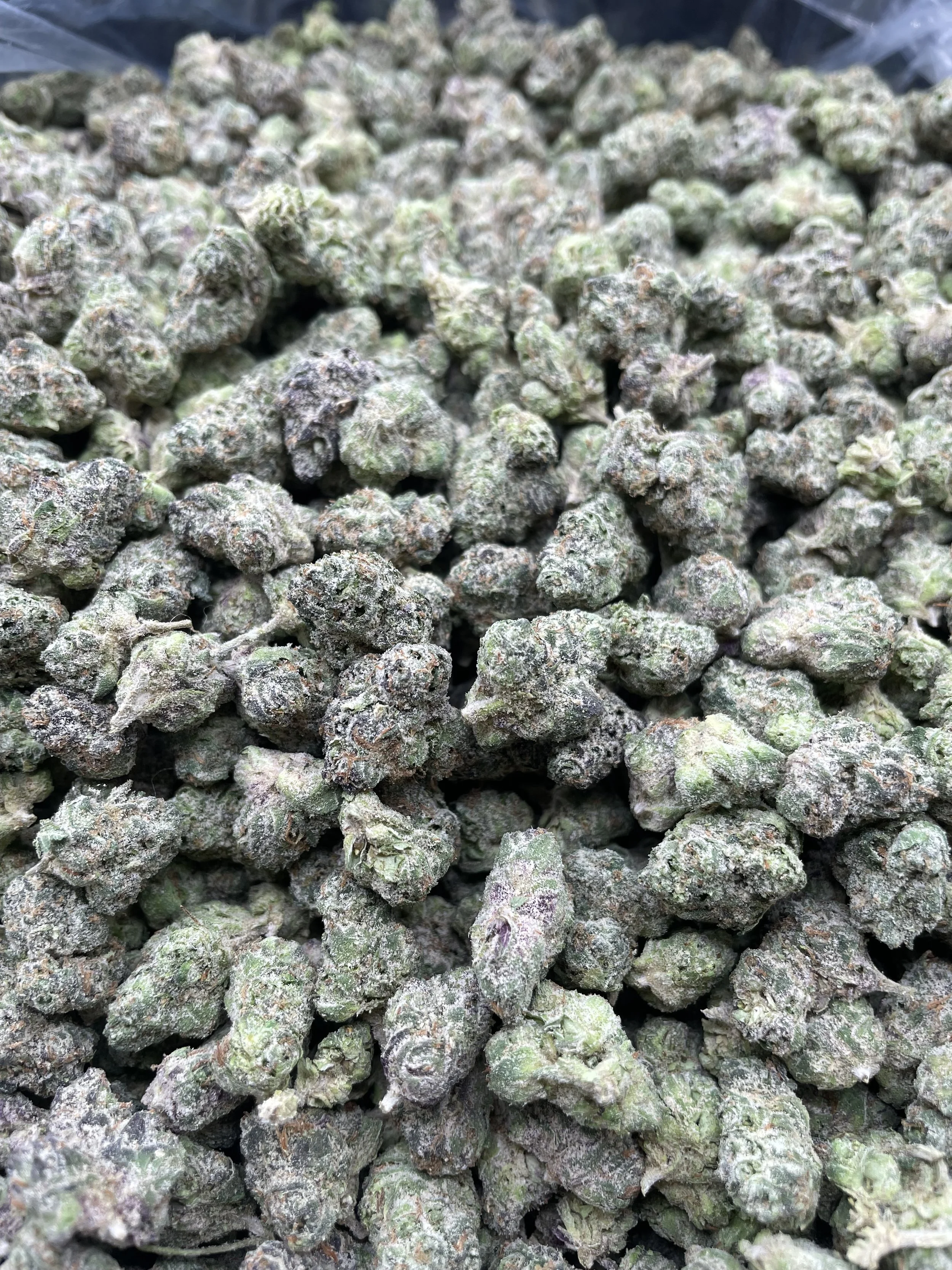 /s/bluenerdzsmalls.mp4