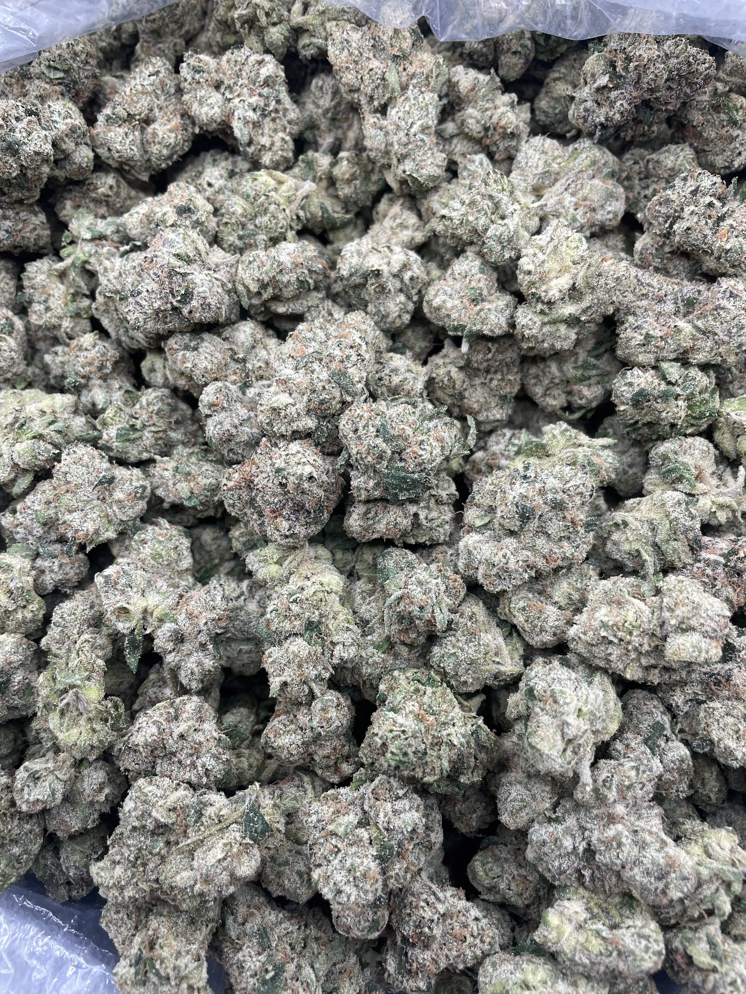 /s/redvelvetruntz.mp4