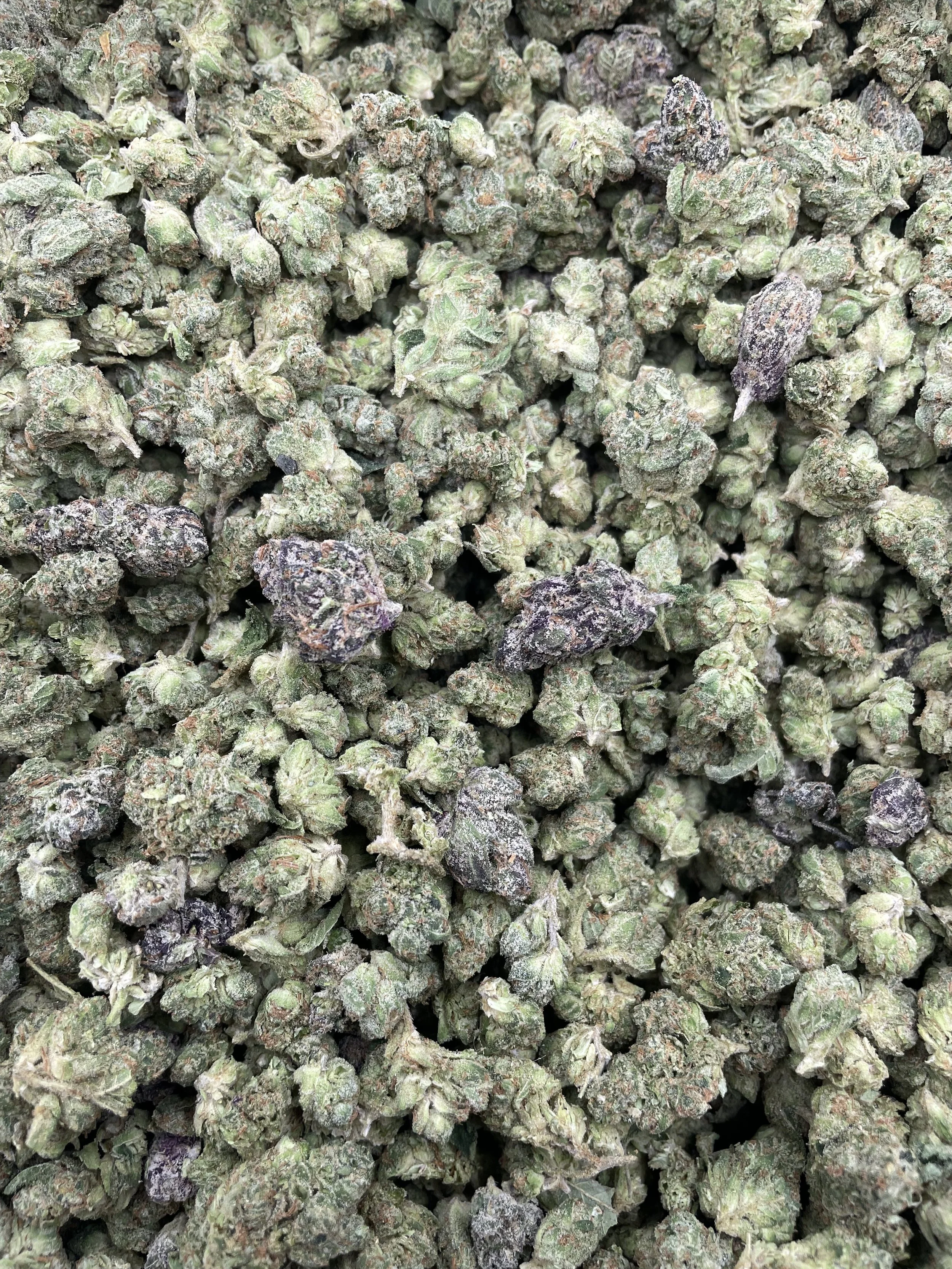 WHITE CHERRY X GELATO (SMALLS)