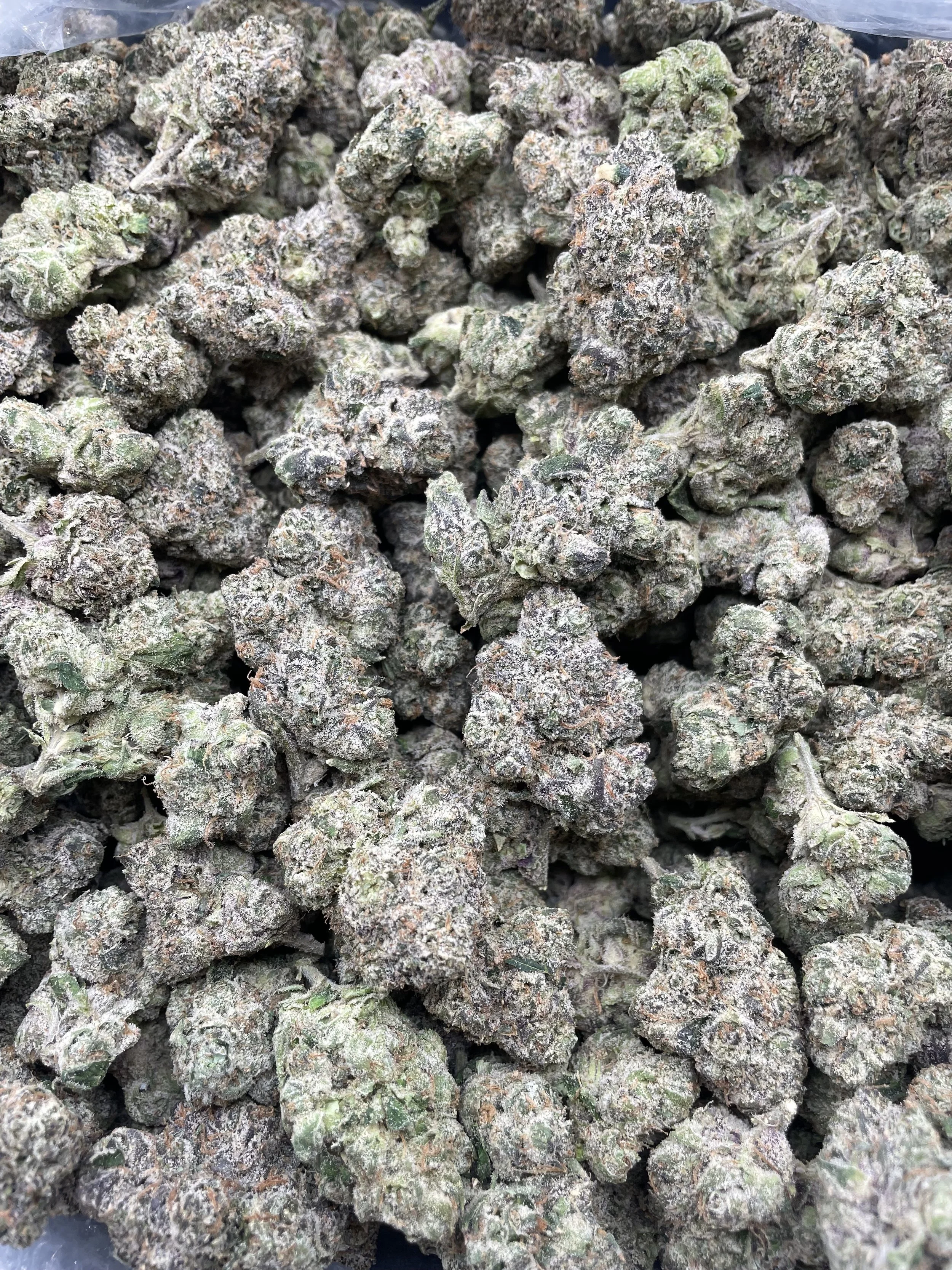 BUBBLEGUM GELATO