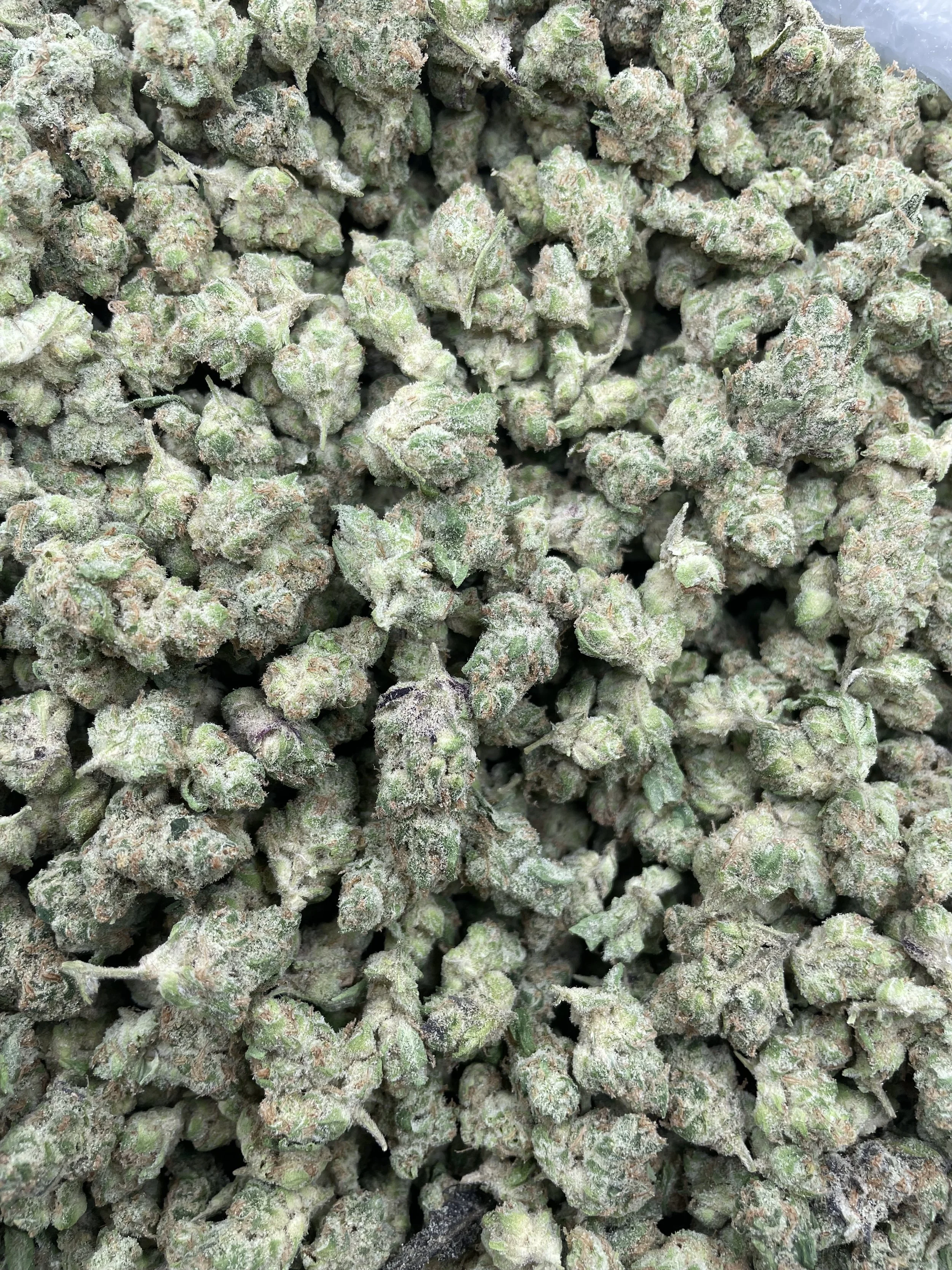 STRAWBERRY GUAVA (SMALLS)