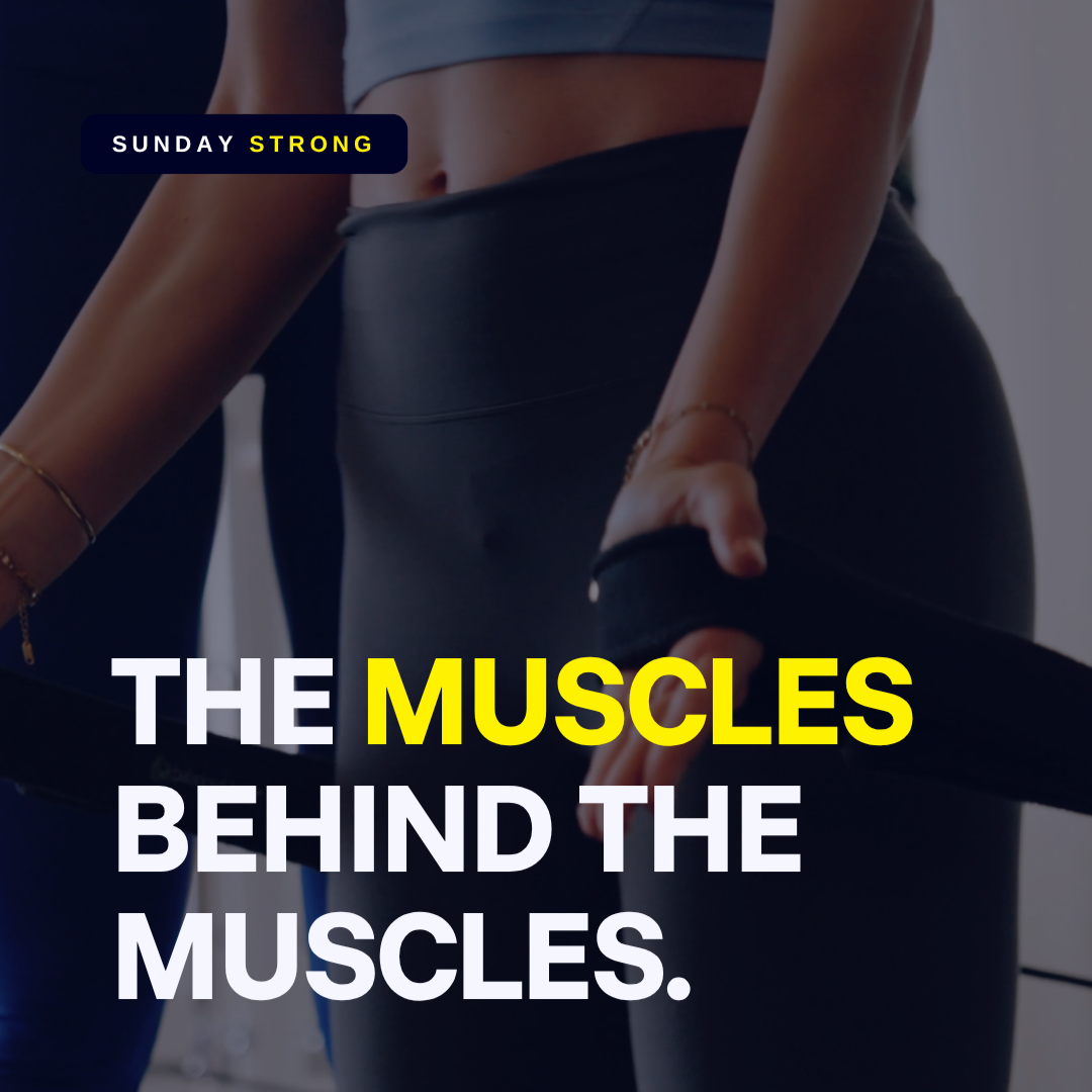 The Muscles Behind the Muscles