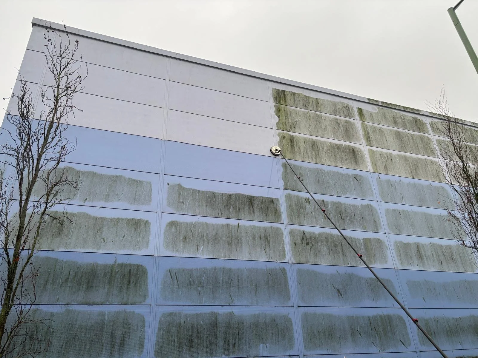 The exterior of a building being cleaned, with a water-fed pole cleaning the glass windows, which are partly covered with moss and dirt. Two leafless trees are on either side of the building.