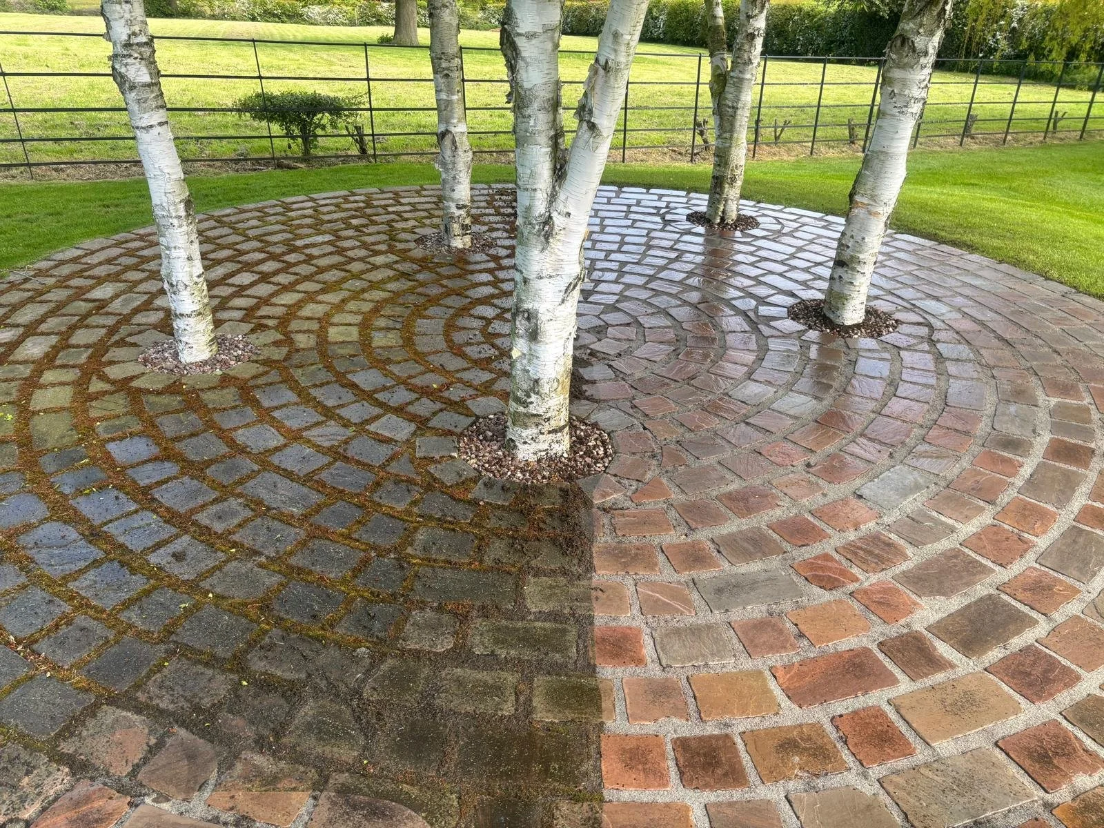 A landscaped outdoor area with a circle of tree trunks and a pattern of brick pavers arranged in concentric circles around the trees, with a grass lawn and a black metal fence in the background.