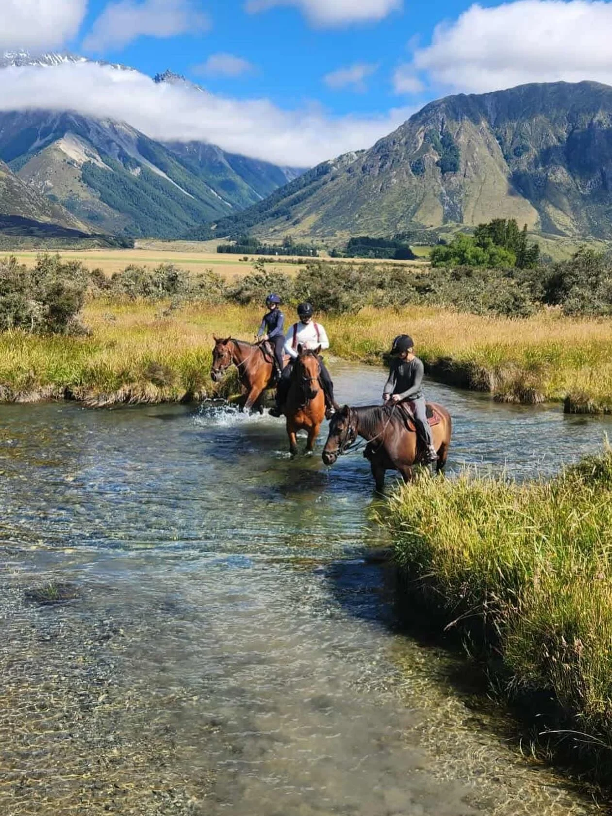 Ride through the stunning high country and chill out this summer in the Upper Ohau rivers and streams. Head your website for details and booking information. 🐴 🏔️ ☀️ #horsetrekkingNZ
#mountcookadventures
#twizelNZ 
#newzealandhorserides
#southernal