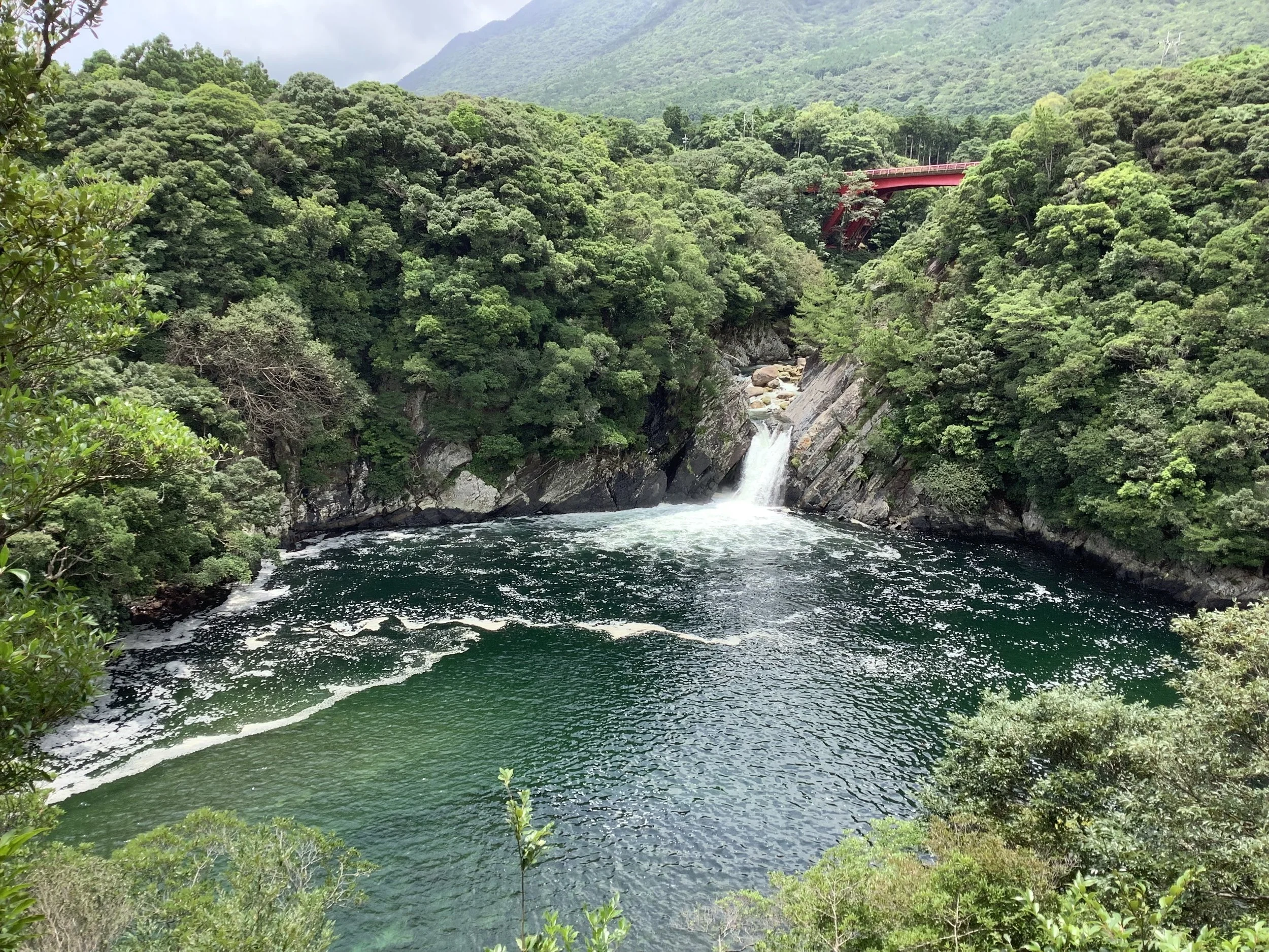 「ホルト・ヨガ」から「ハイ・レベル・ウェルネス」へ