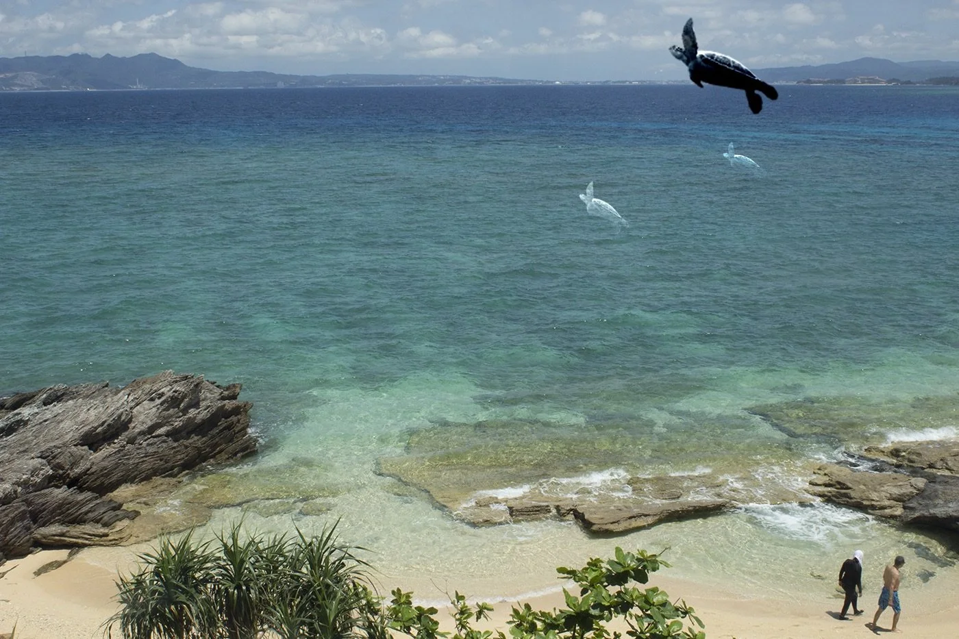 海辺の景色、岩と砂浜、カモメとイルカのジャンプ